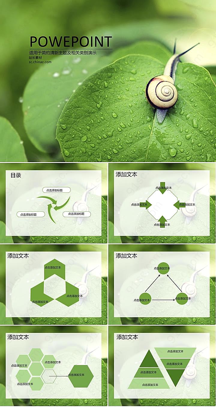蜗牛与绿叶ppt背景图片PPT模板