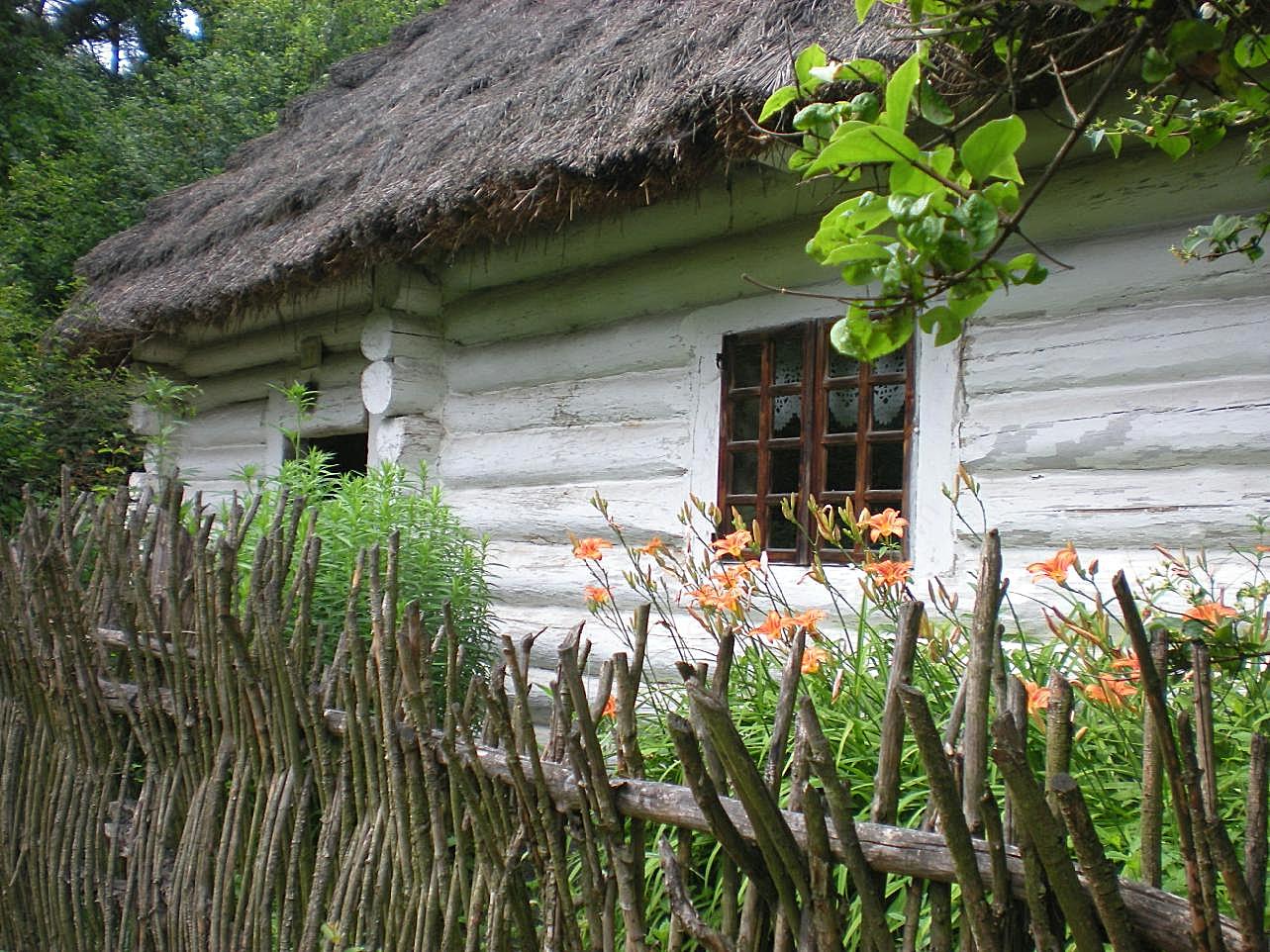 一间茅屋图片高清