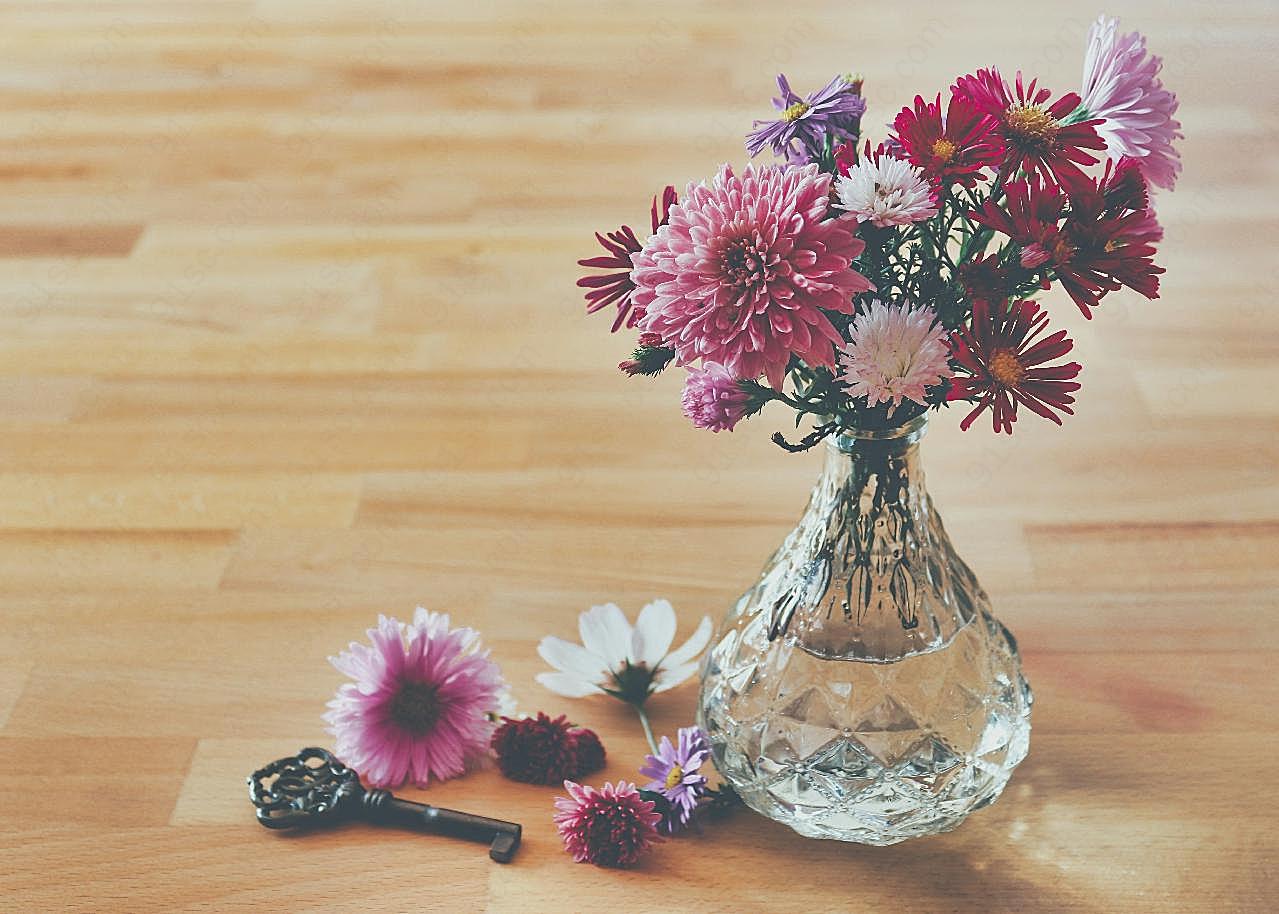 花瓶菊花图片摄影高清