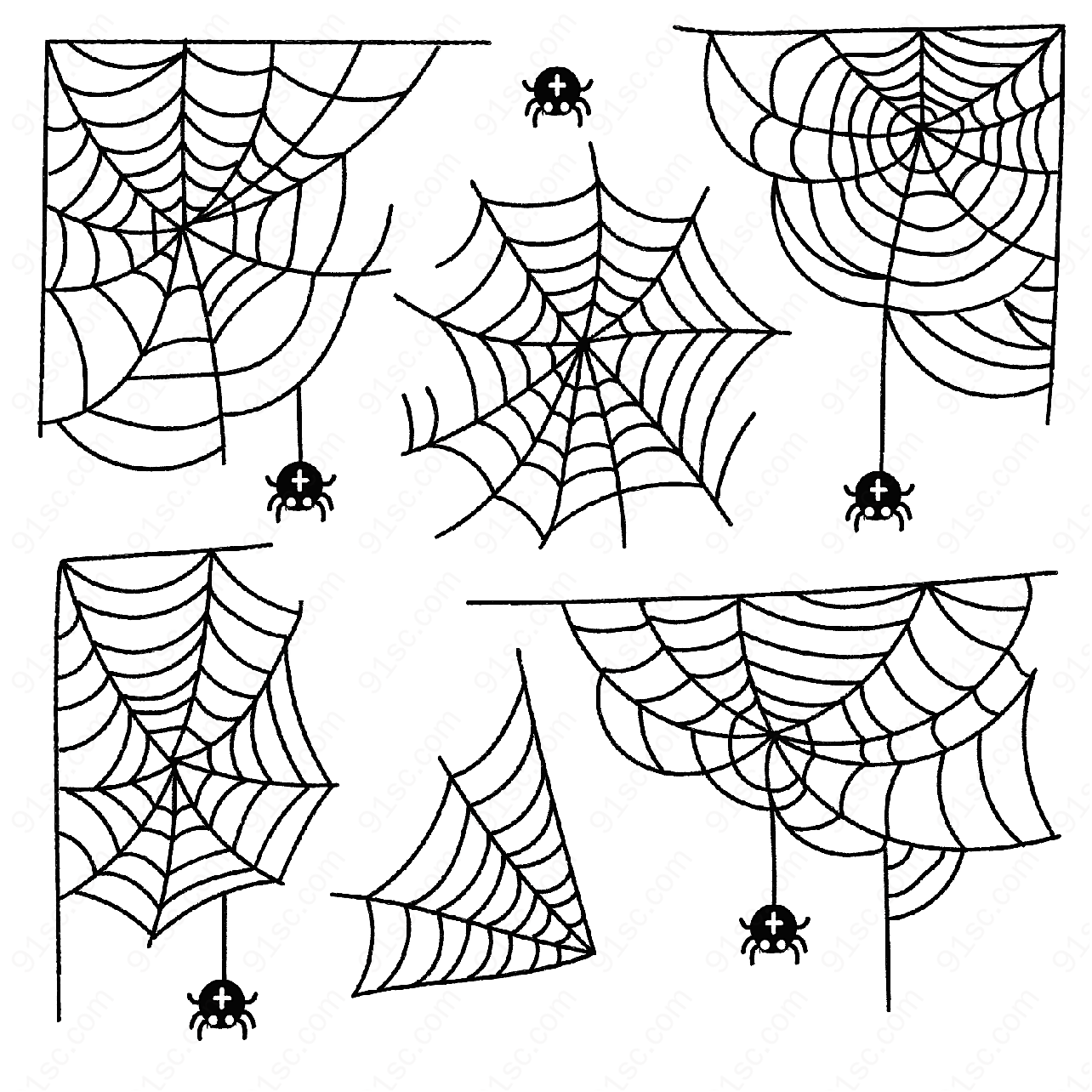蜘蛛网和蜘蛛矢量昆虫