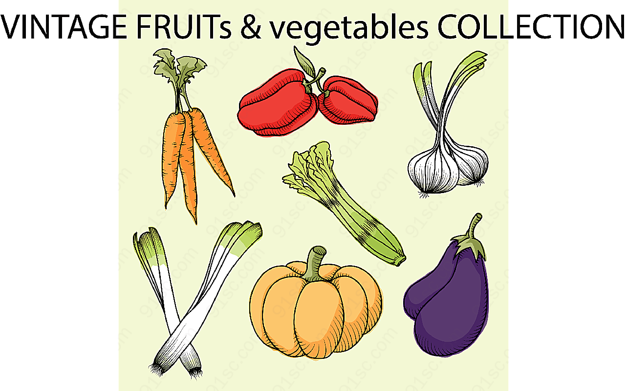 彩绘蔬菜设计矢量蔬菜