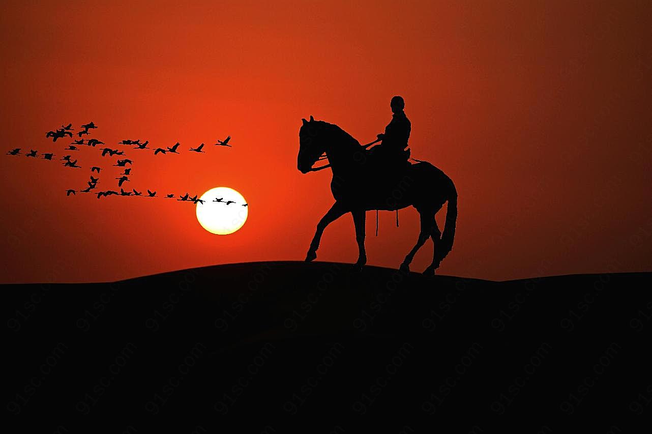 日落骑马剪影图片景观