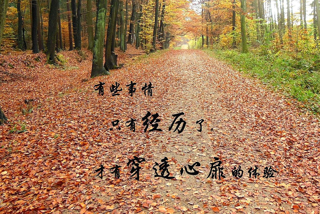 带字图片说说高清