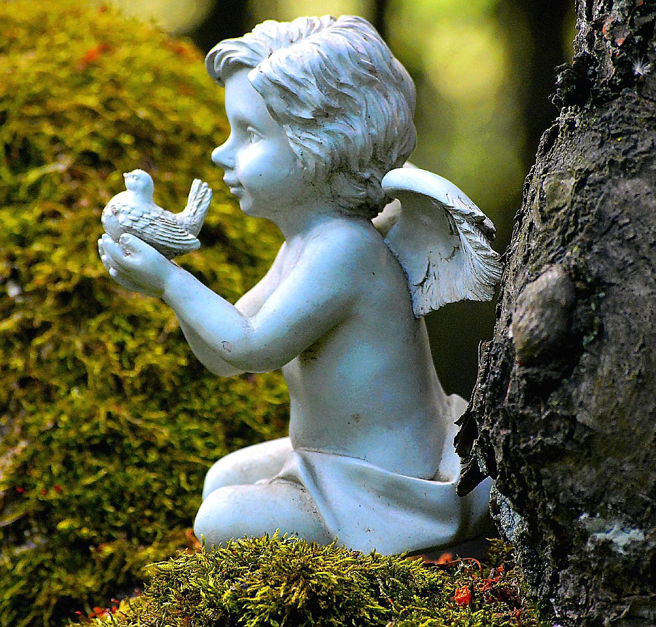 小天使雕塑图片摄影
