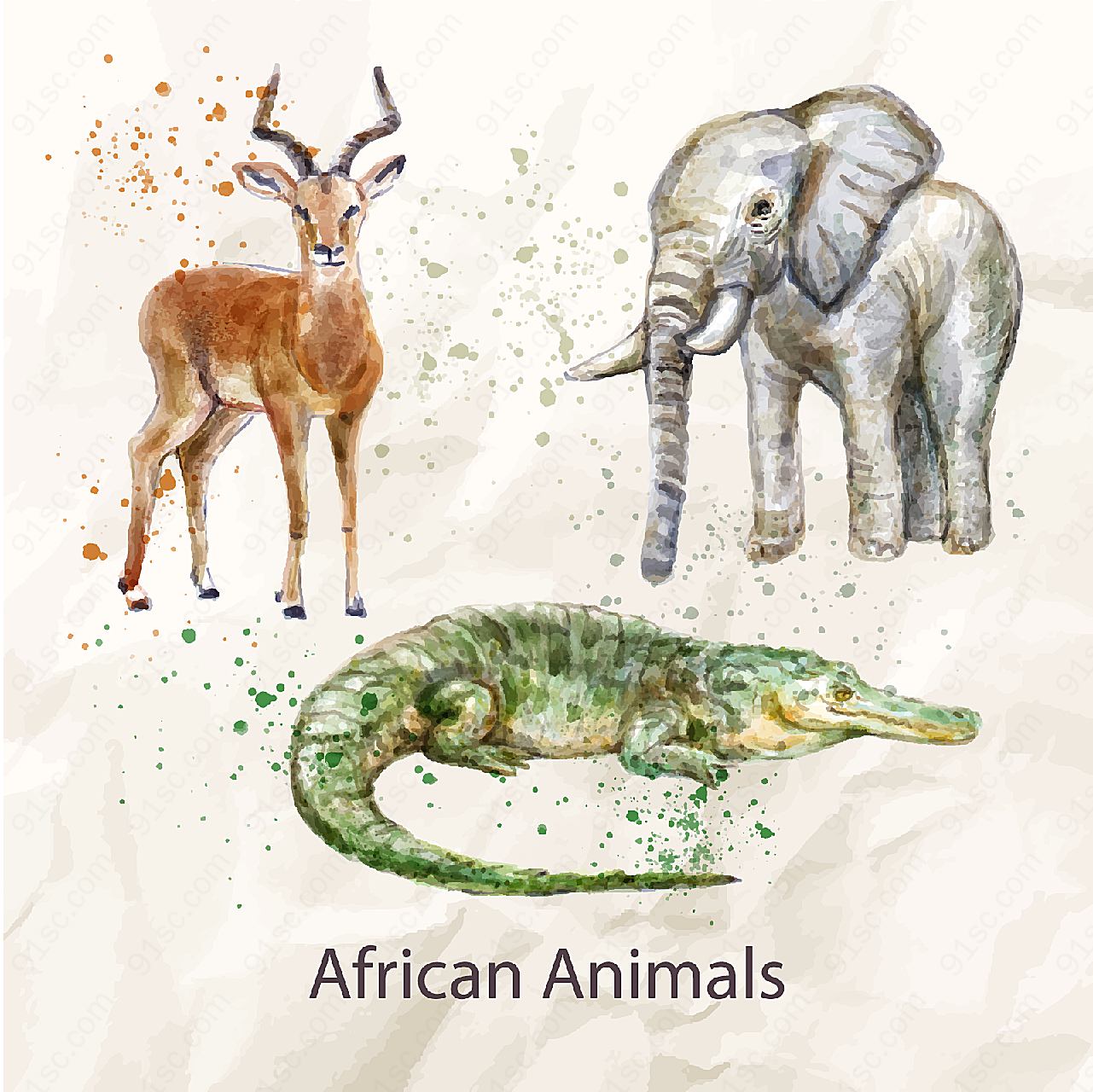 水彩绘非洲动物矢量野生动物