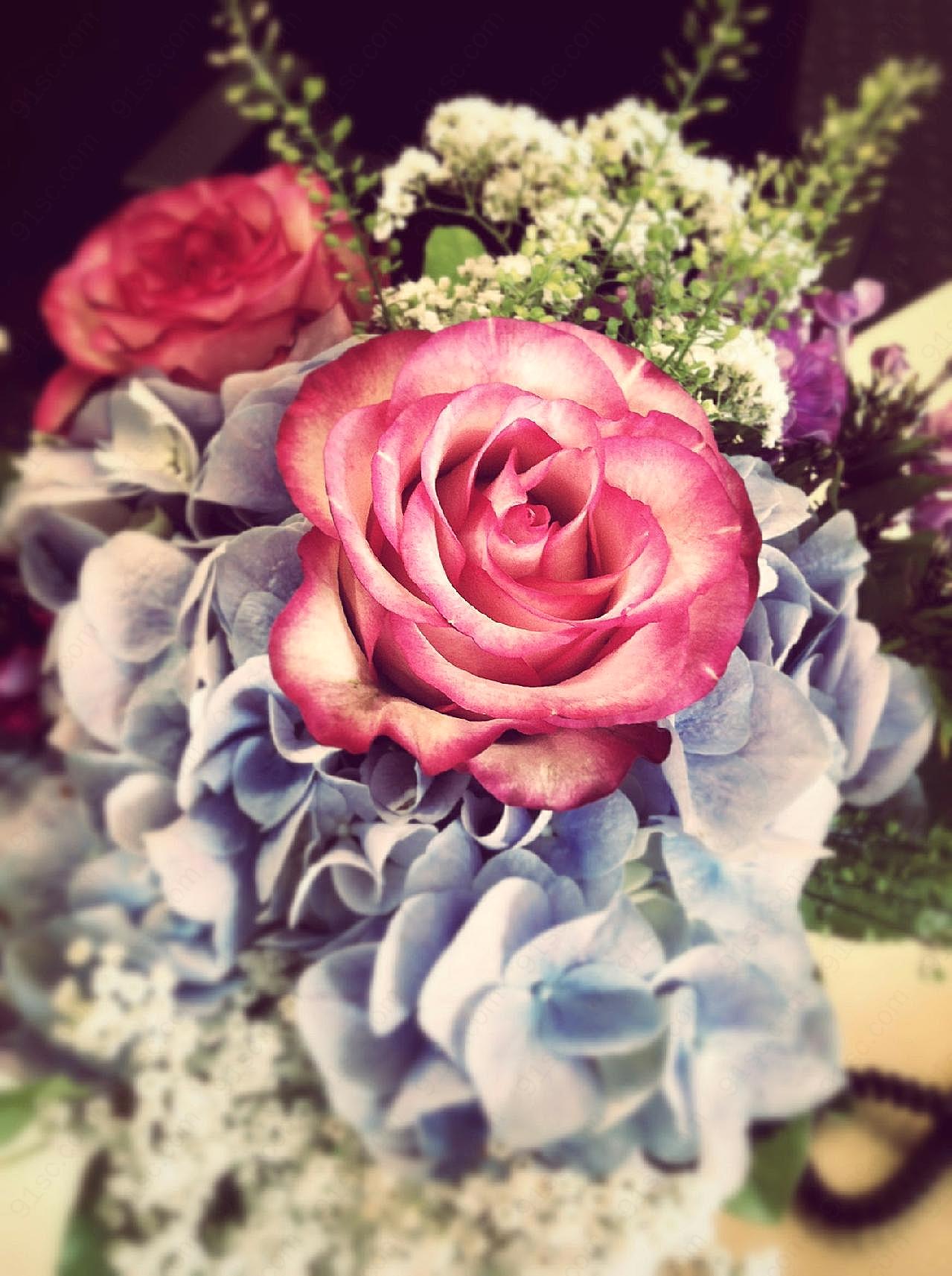 母亲节玫瑰鲜花花束图片高清摄影