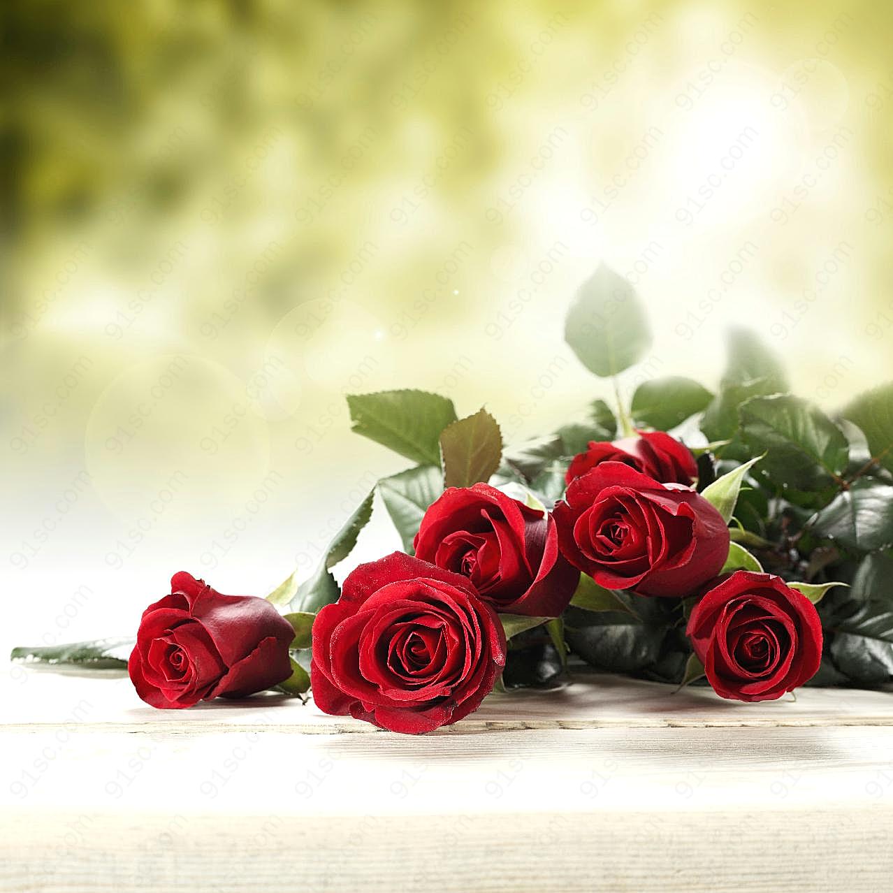 情人节红玫瑰图片玫瑰花