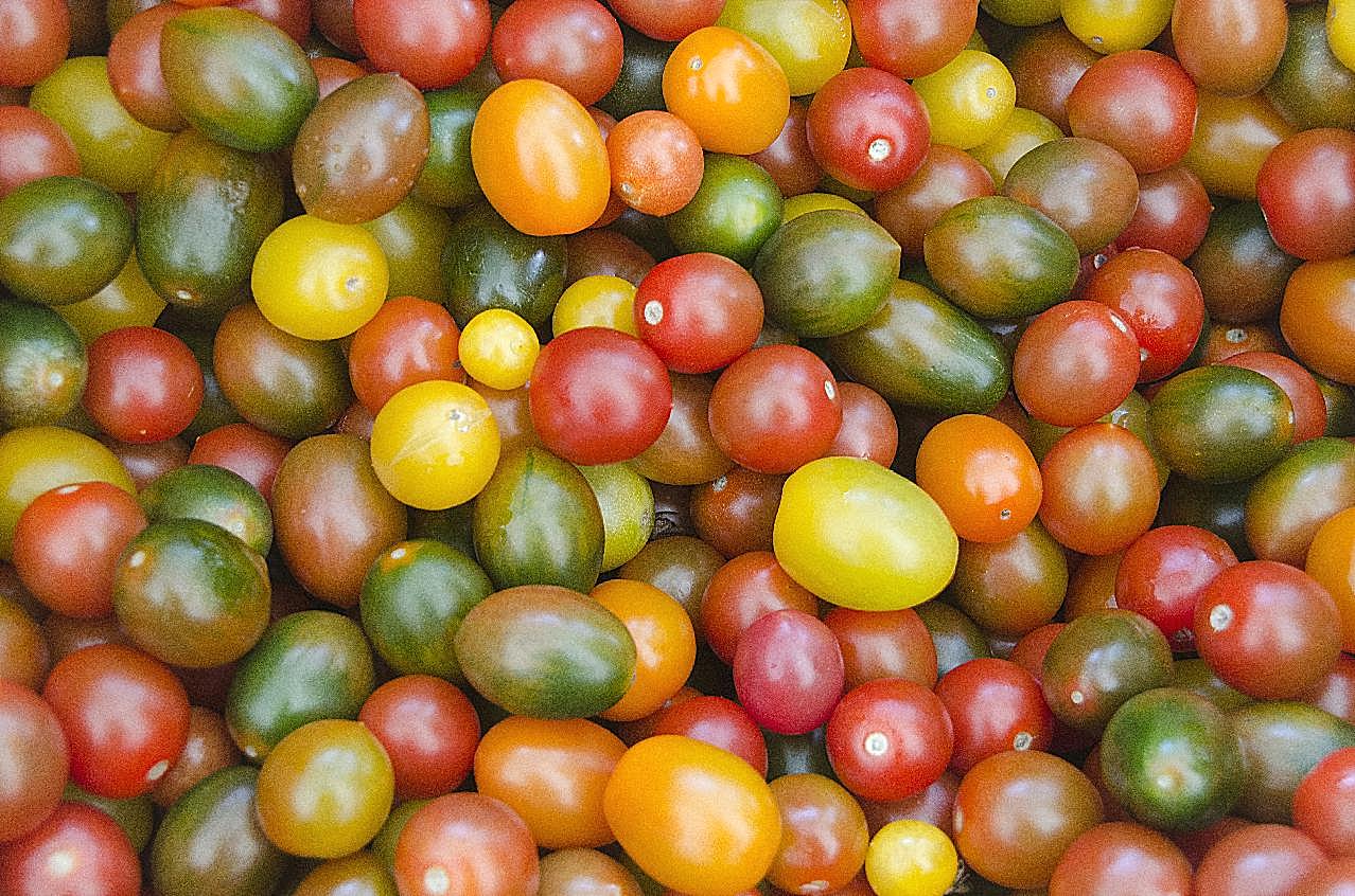 色彩缤纷的小番茄图片高清