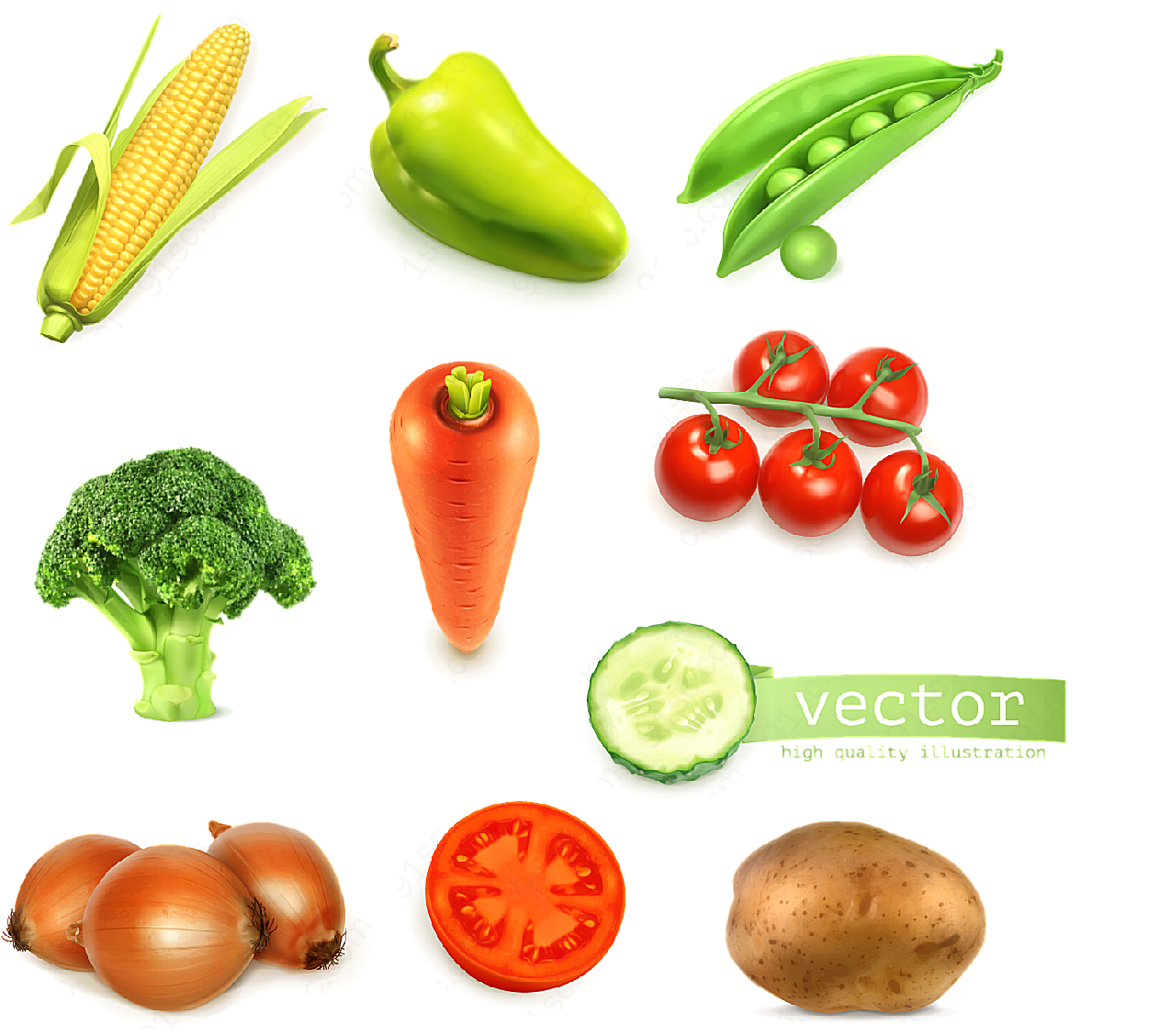 新鲜蔬菜矢量矢量蔬菜