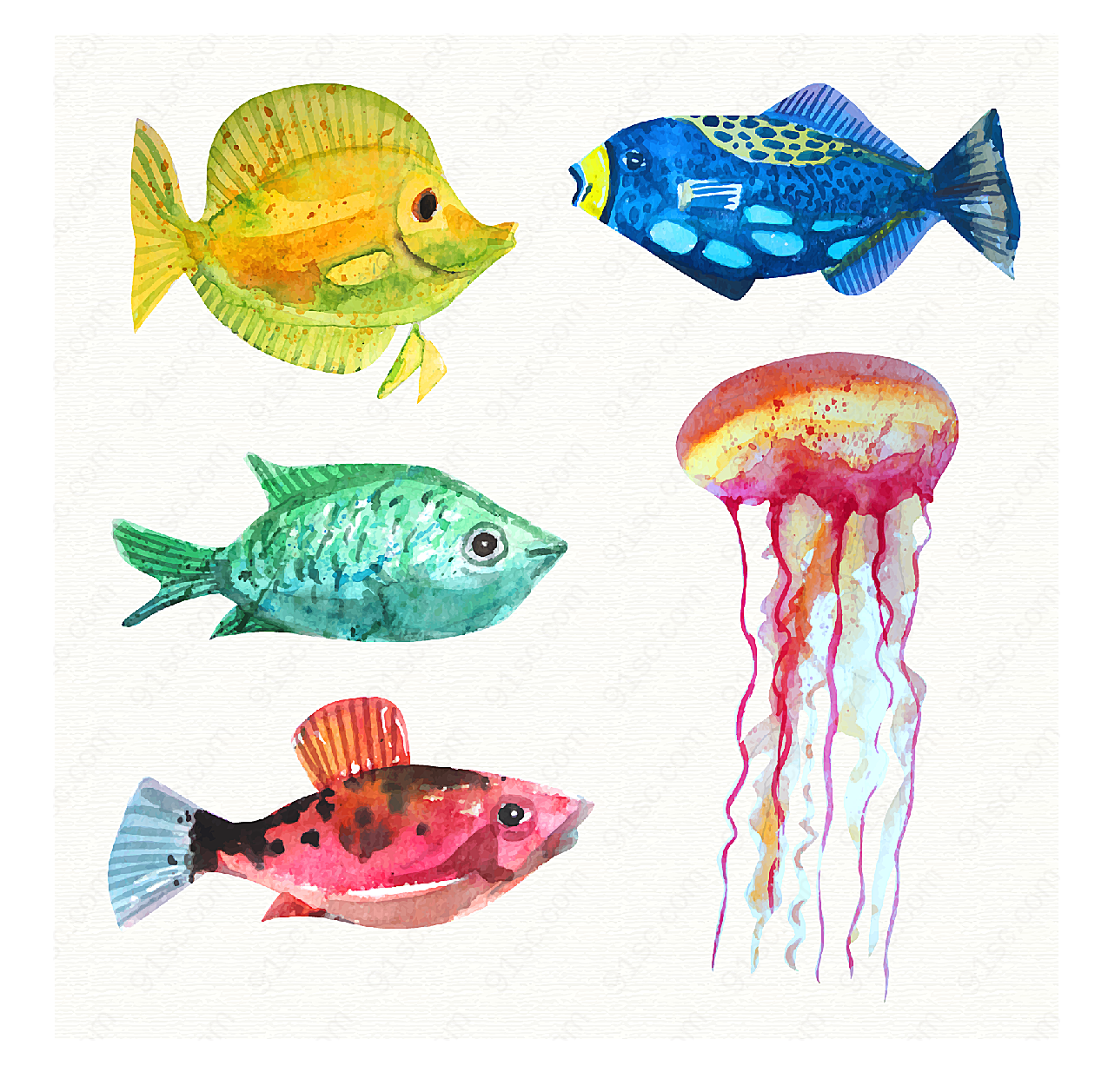 彩绘海洋生物水中生物