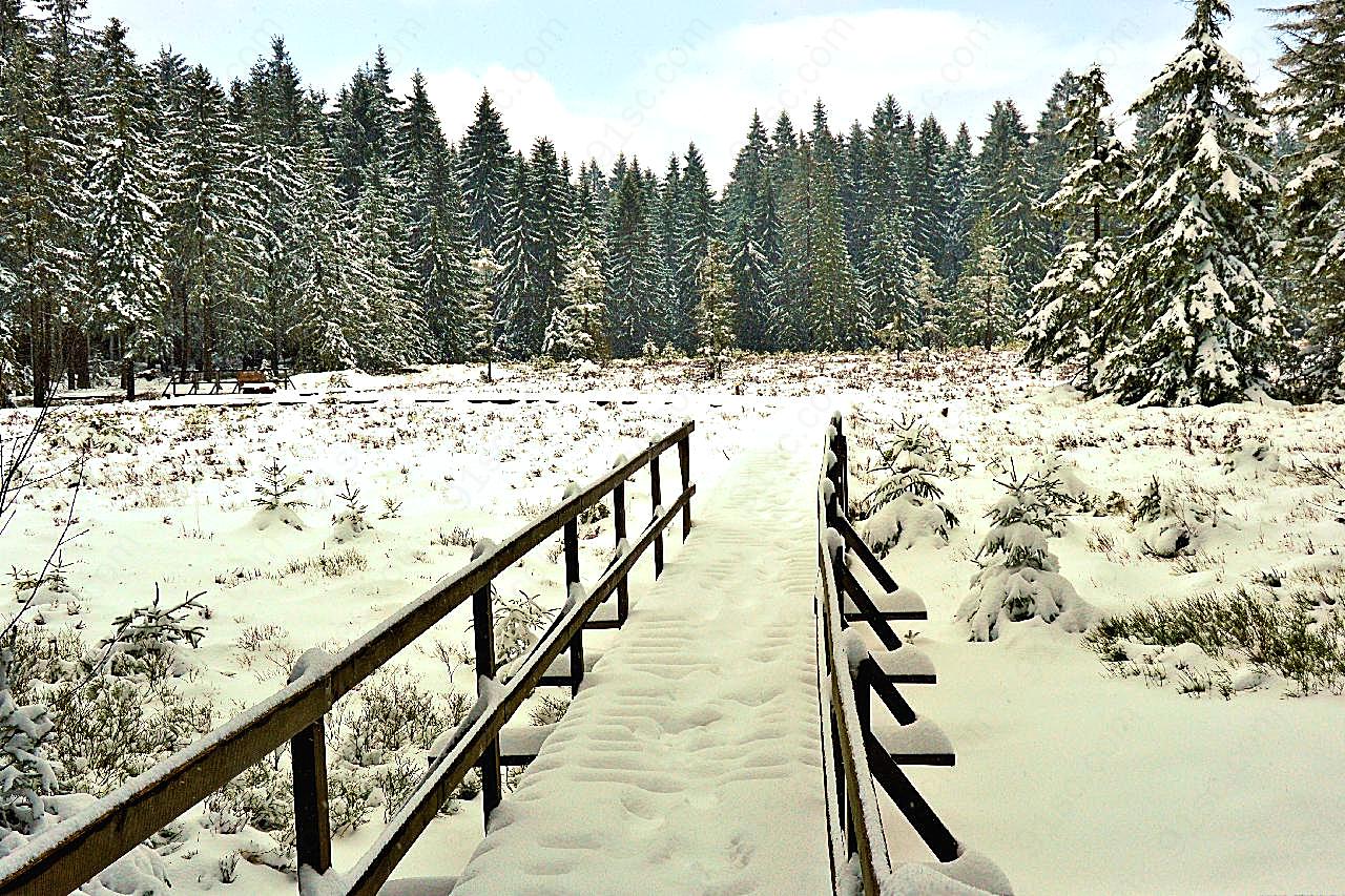 冬季唯美雪景图片景观风景