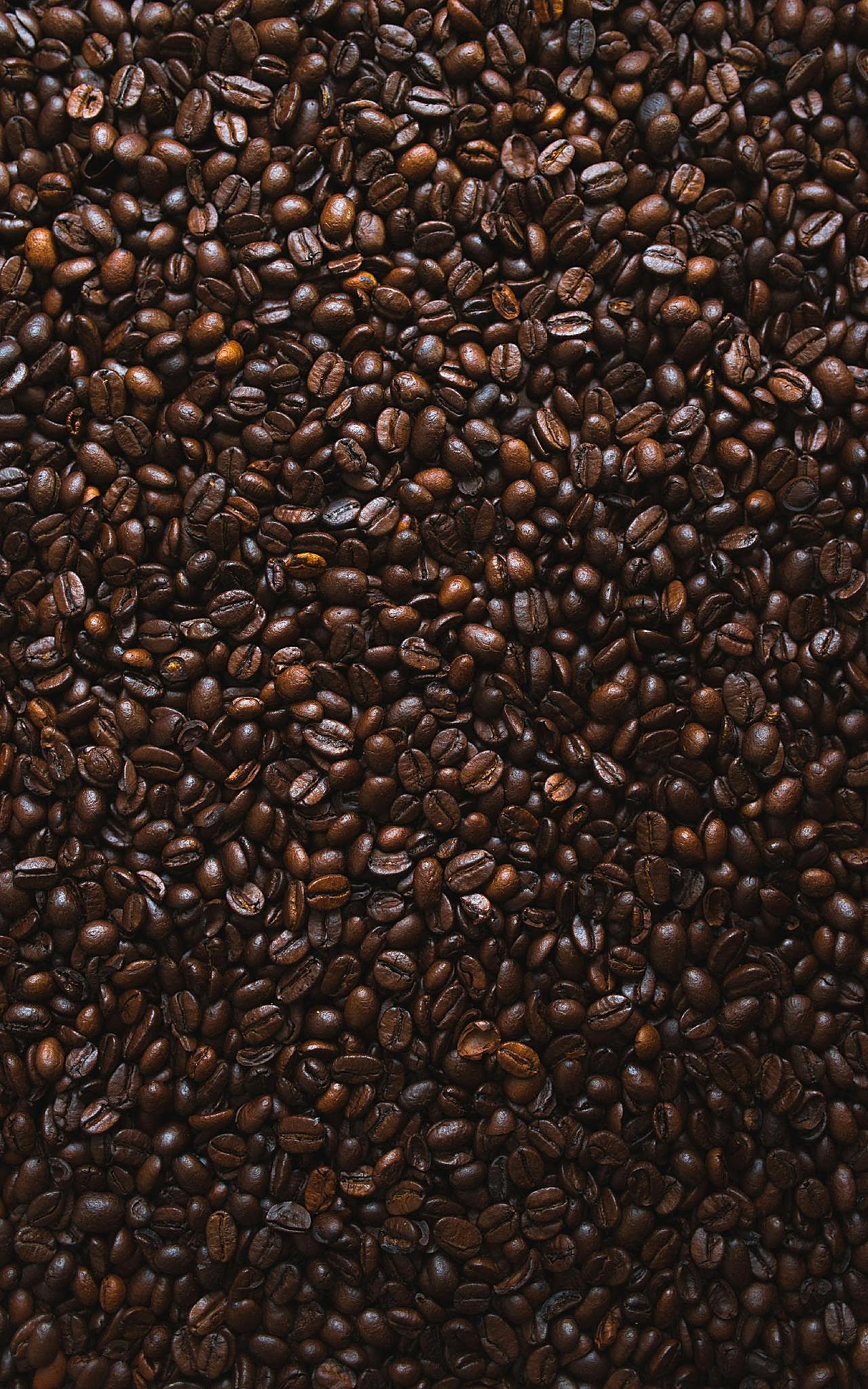 咖啡豆背景图片高清摄影