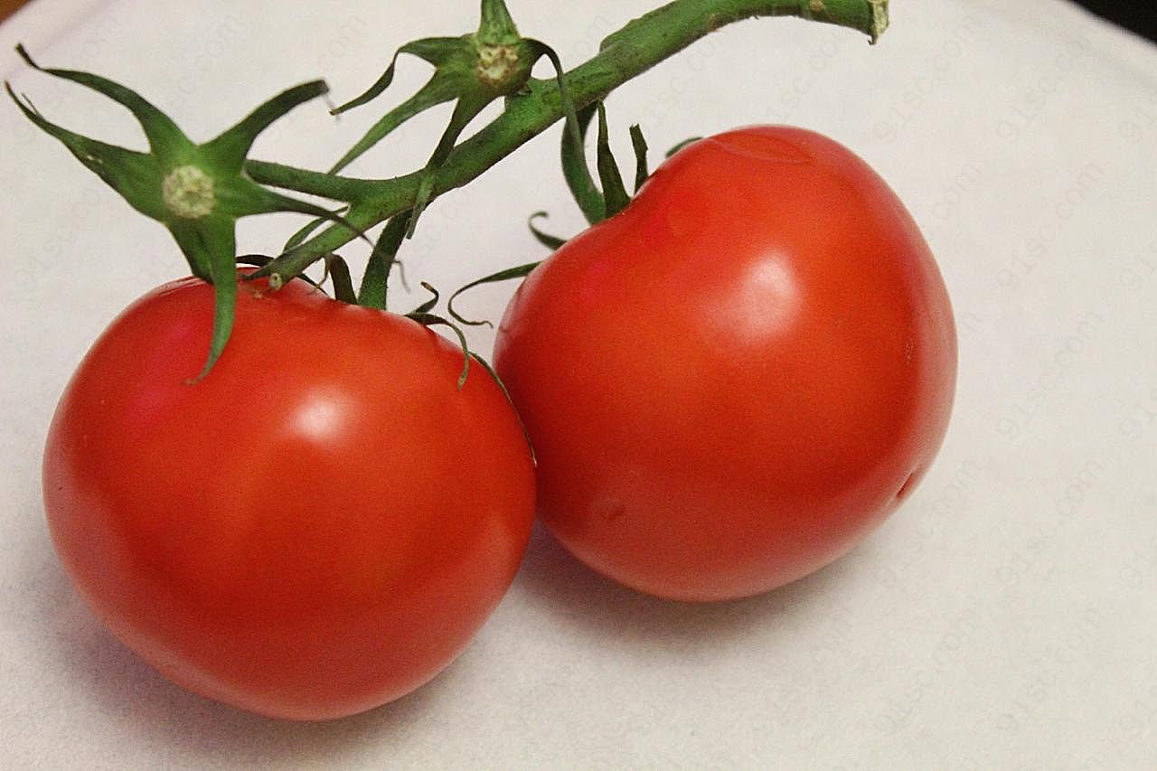 营养西红柿图片摄影