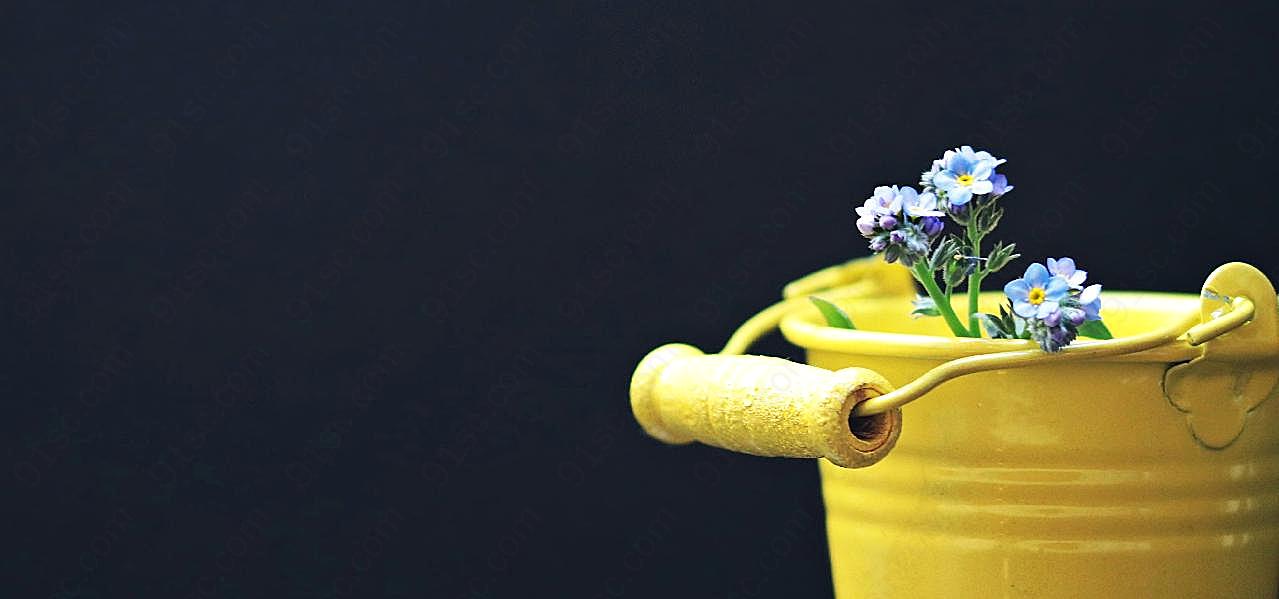 黄桶中的小花图片高清摄影