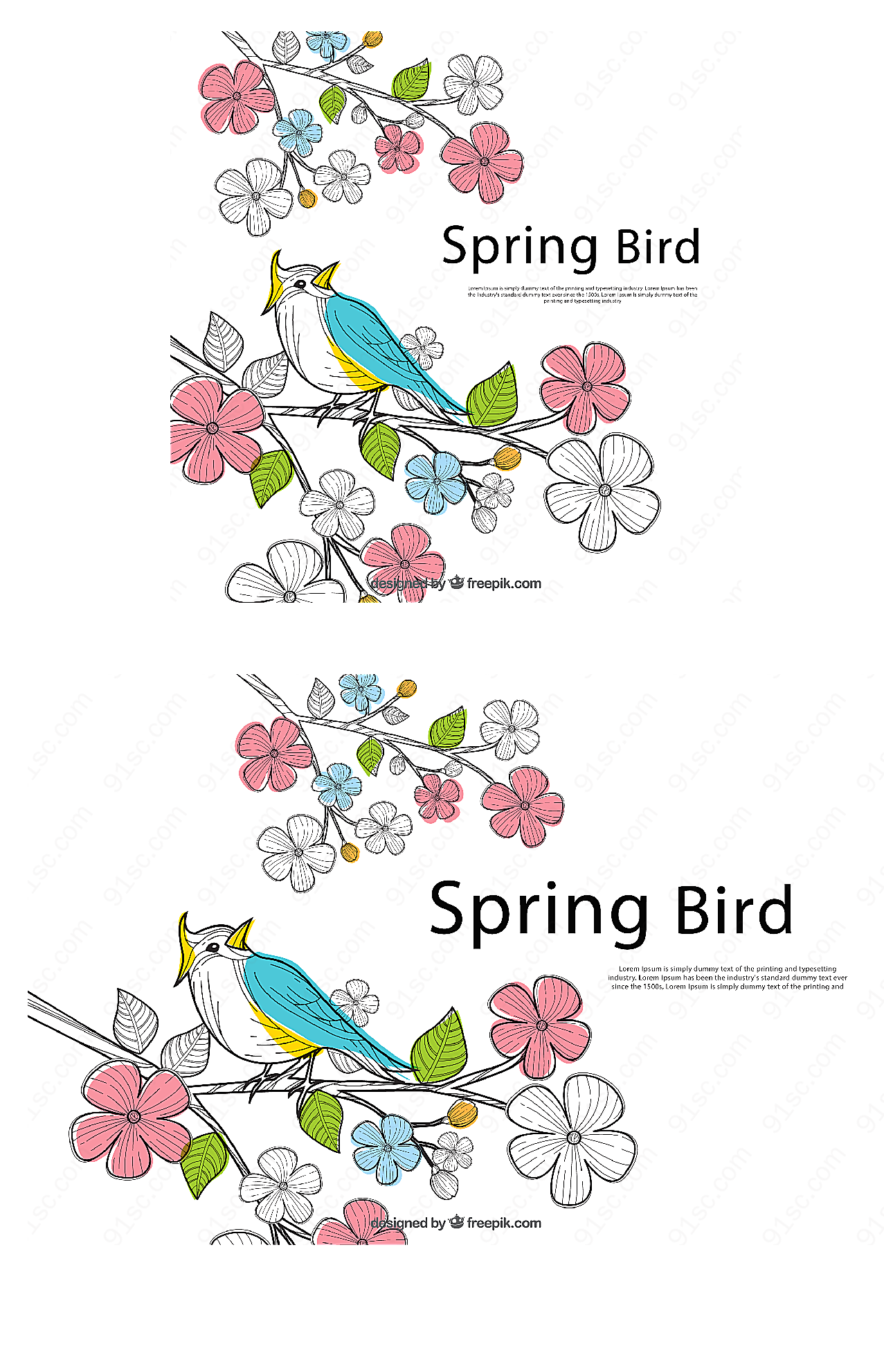 花枝上的小鸟矢量绘画