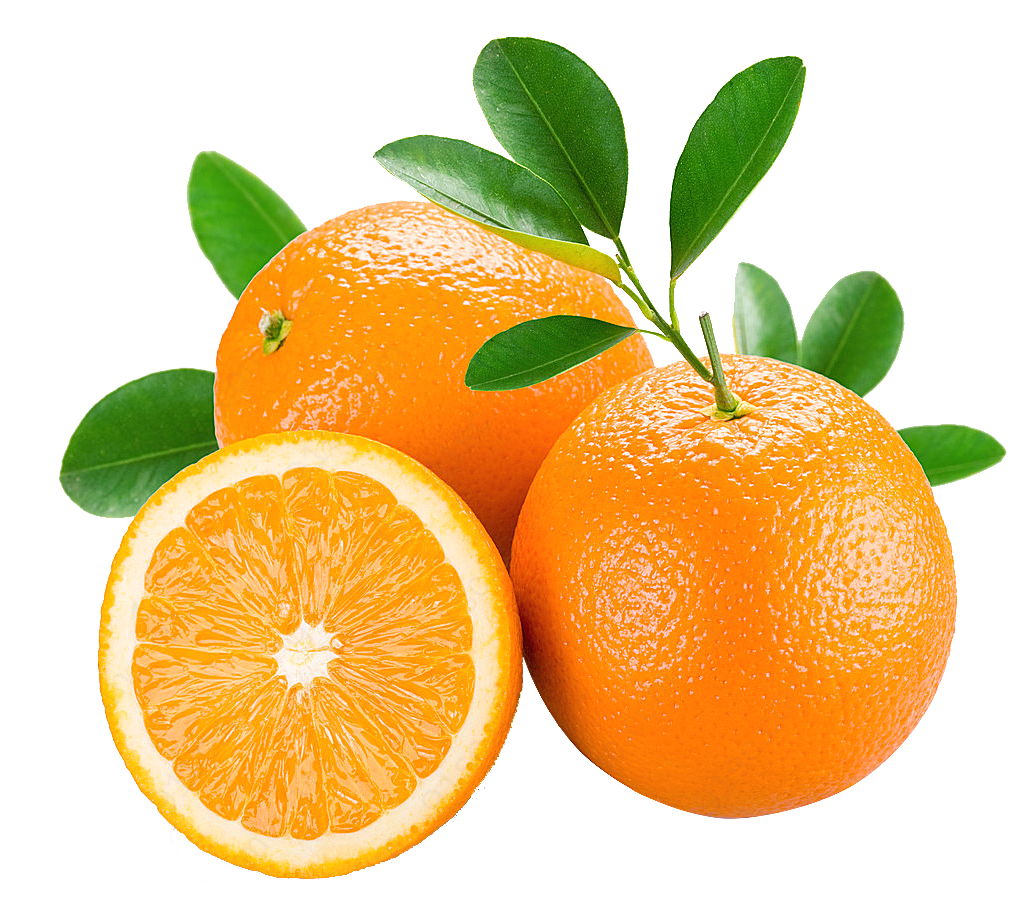 橙子生物