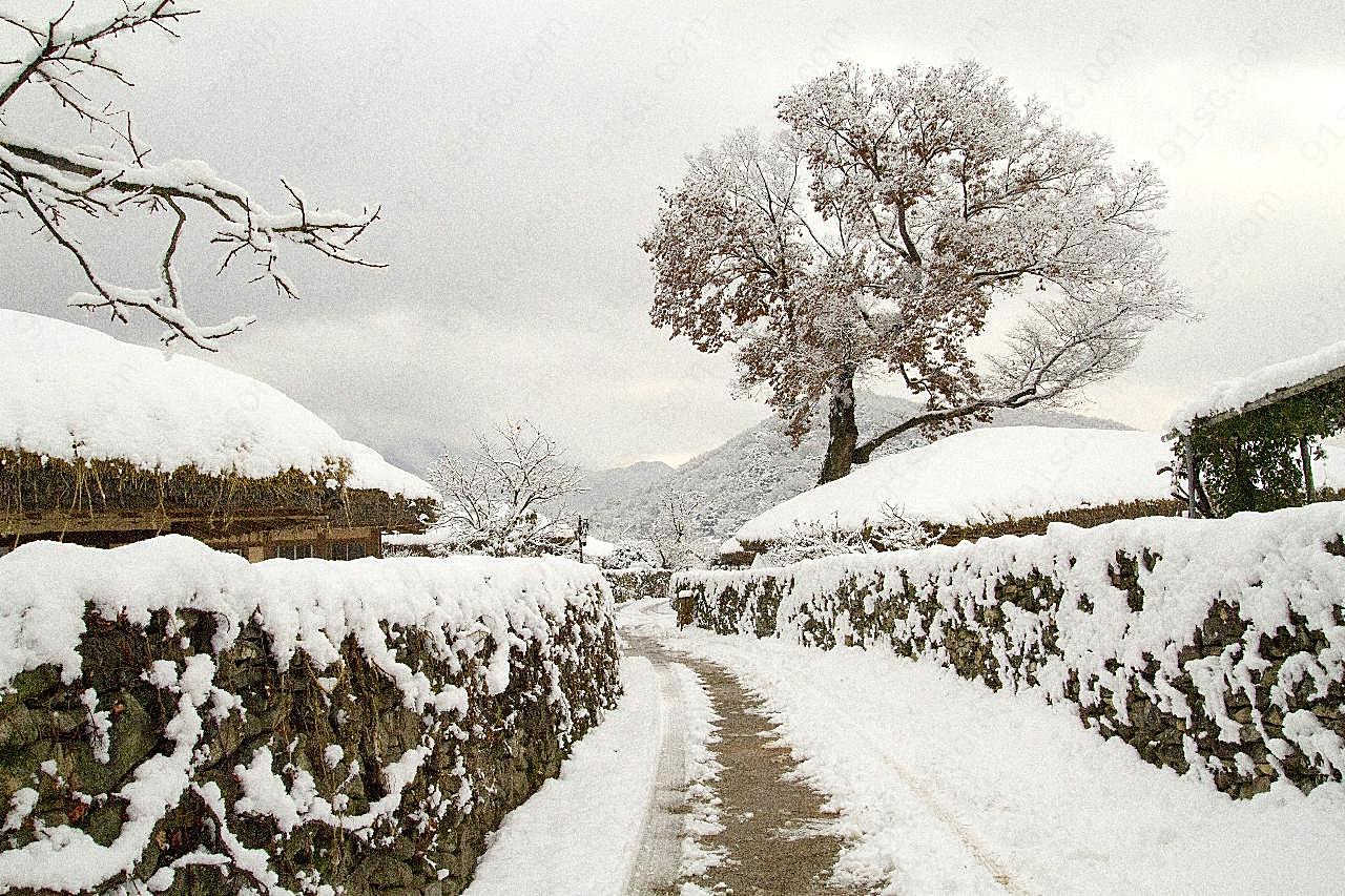 冬天路面积观图片自然