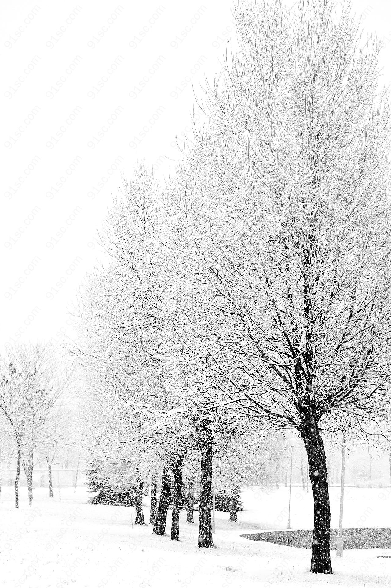 冬天下雪风景图片摄影