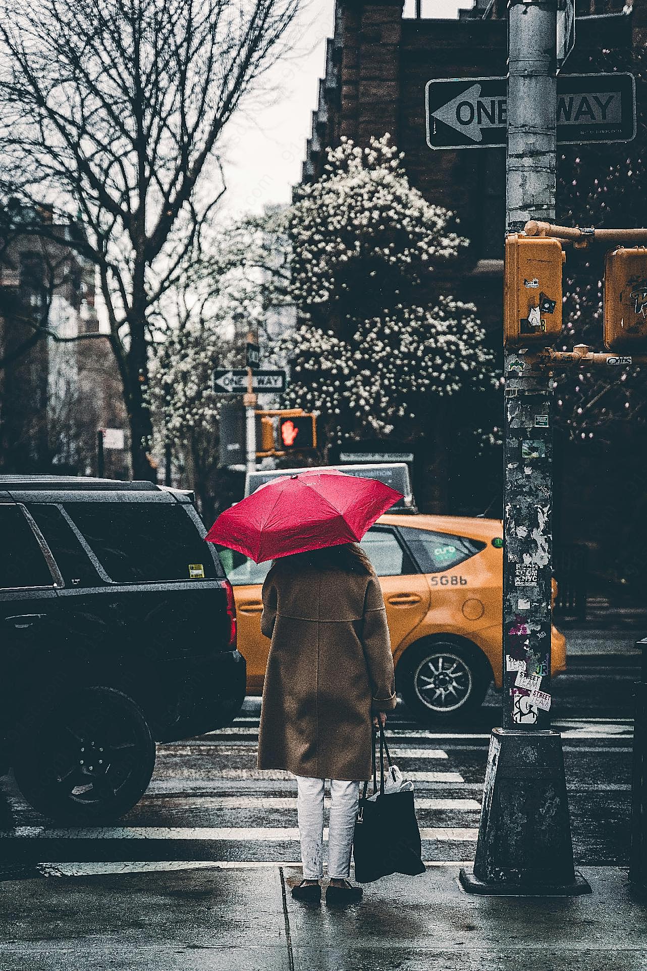 美女雨中撑伞背影图片摄影