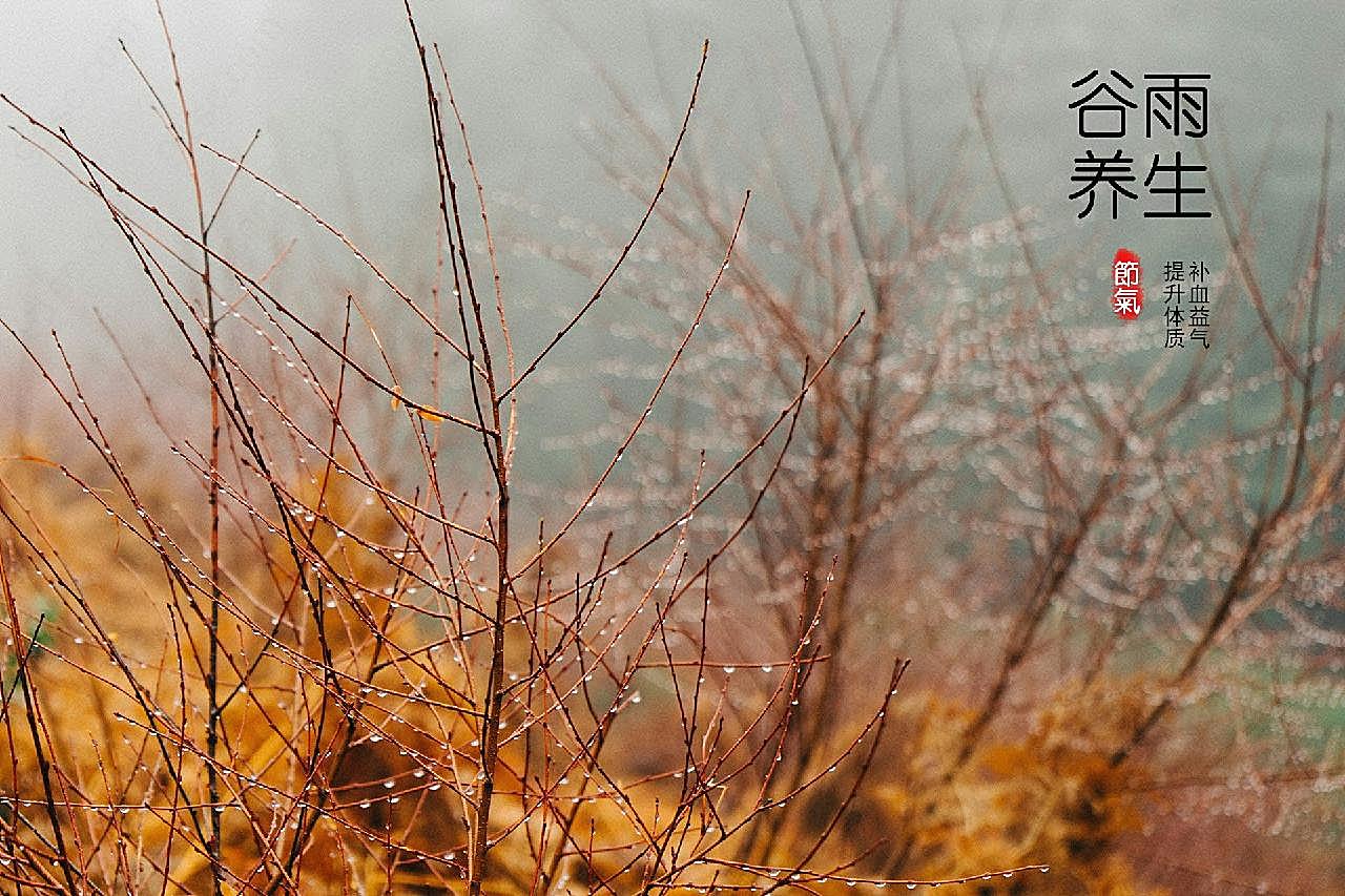 谷雨节气养生图片节日图片大全