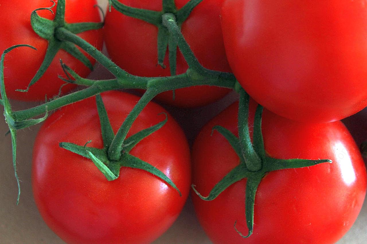 健康红蕃茄图片生物