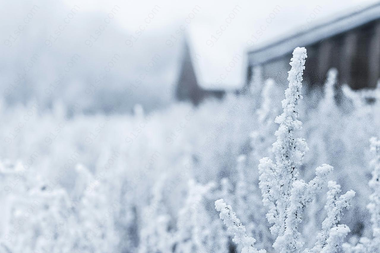 美丽的冬天霜雪图片景观