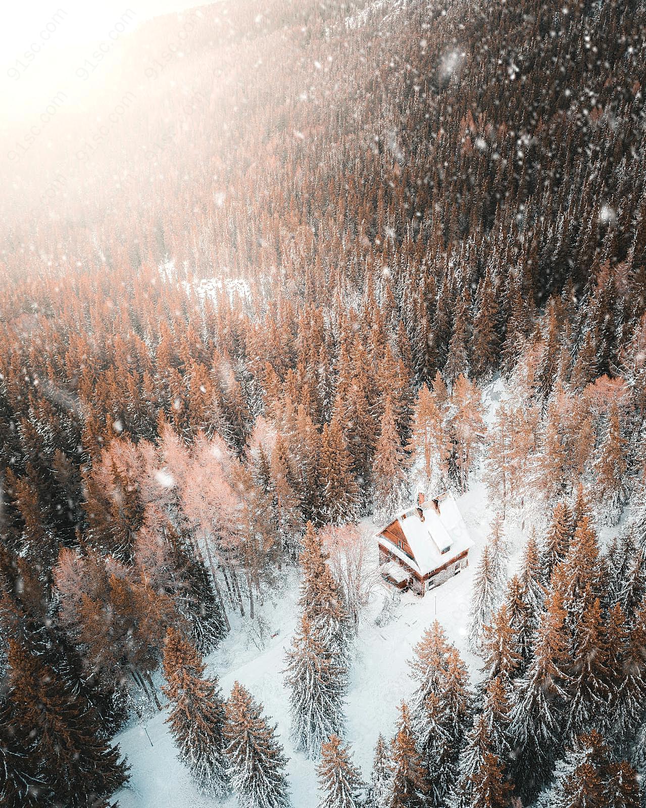 冬季树林小木屋图片景观