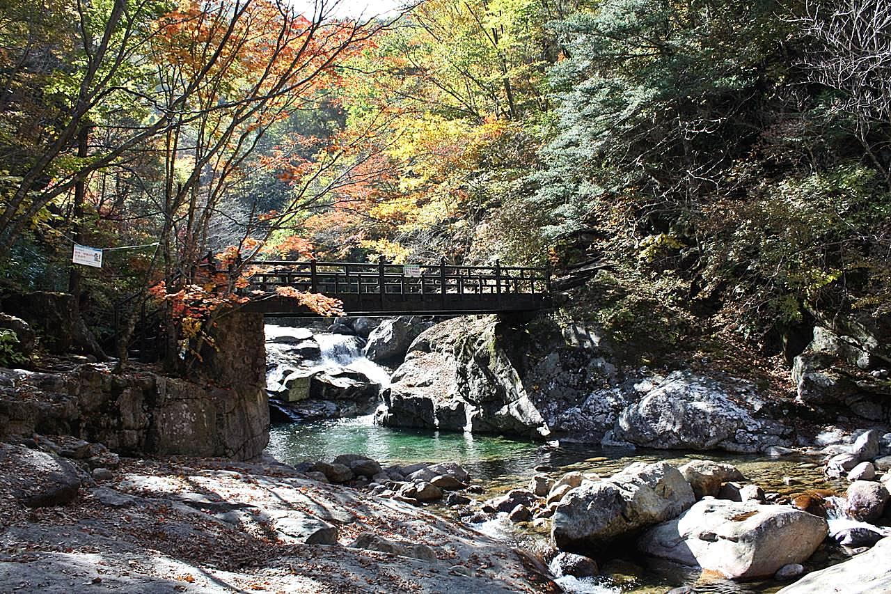 秋天森林公园山涧溪流图片摄影