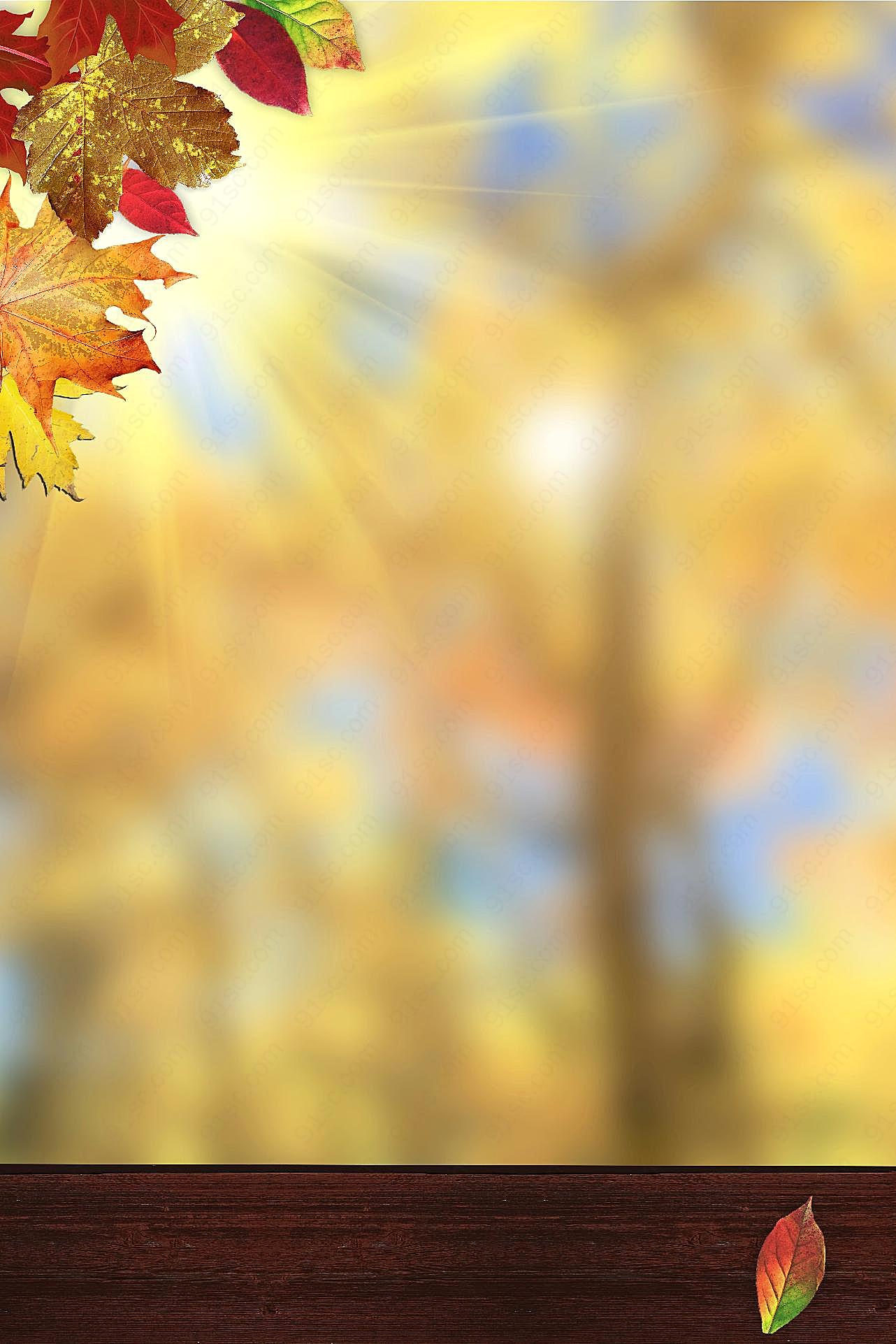 秋日背景图片