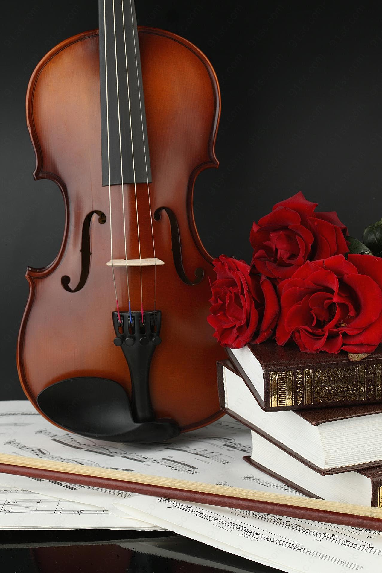 优雅小提琴图片下载乐器图片
