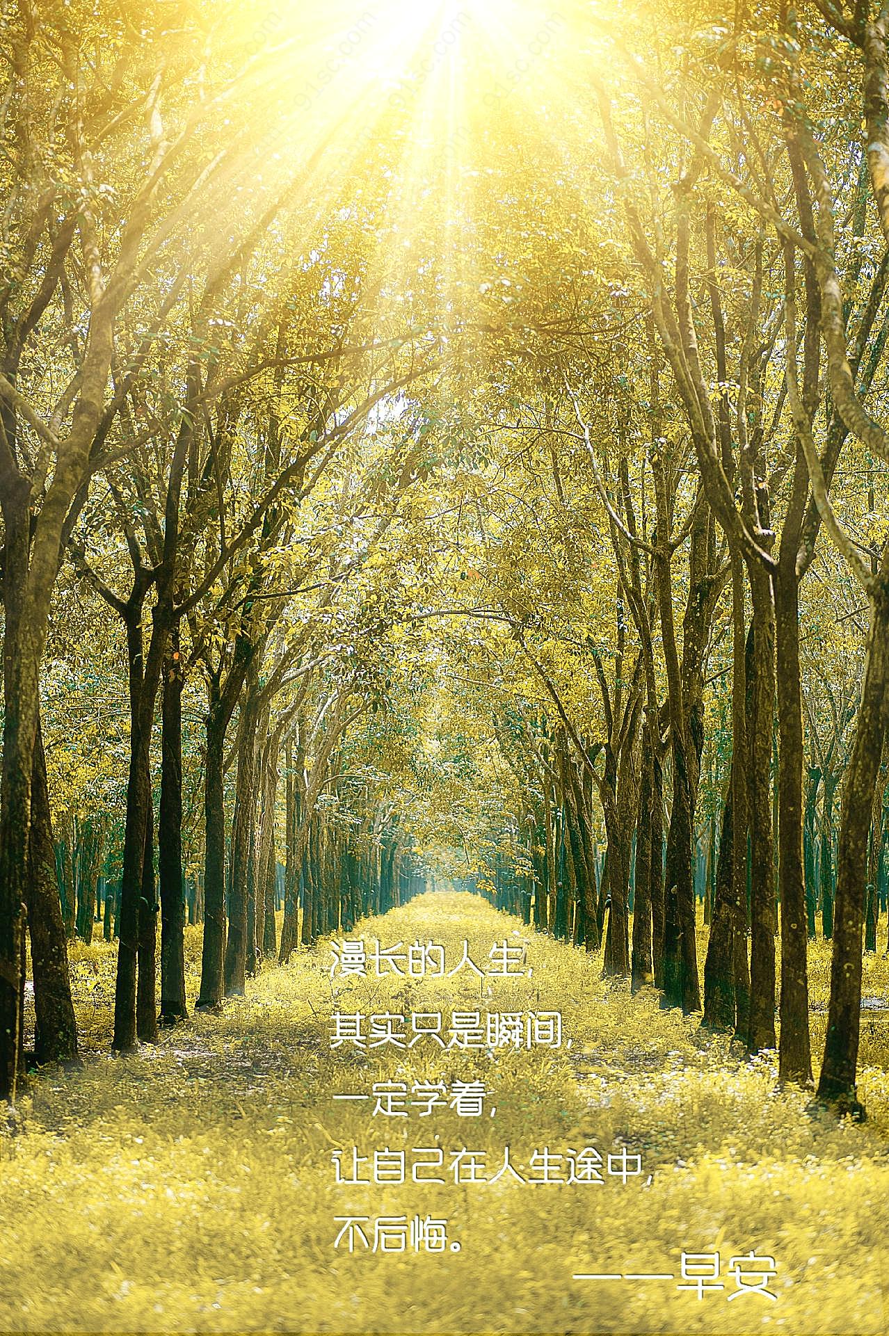 早安正能量摄影