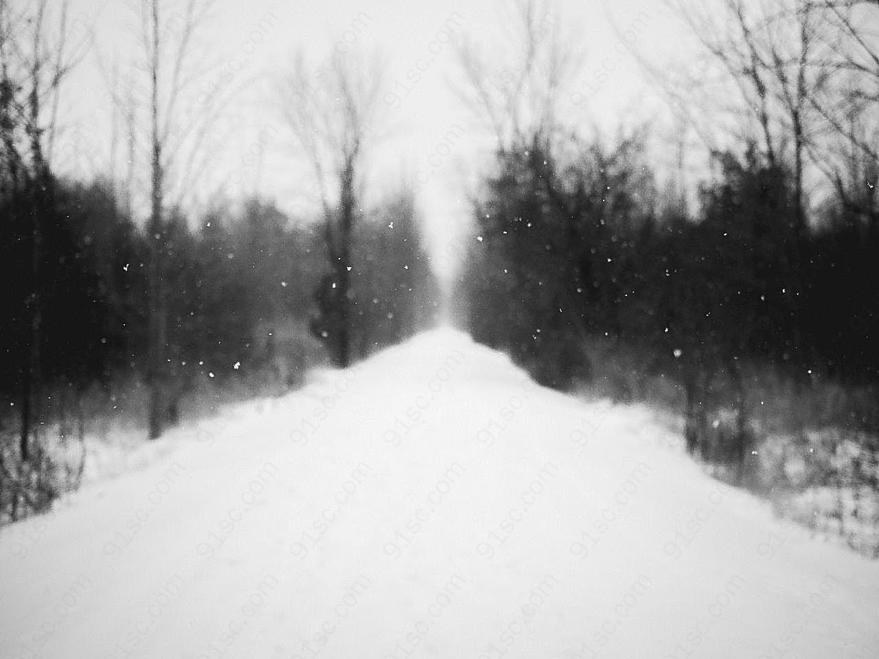 黑白意境冬季图片摄影风景