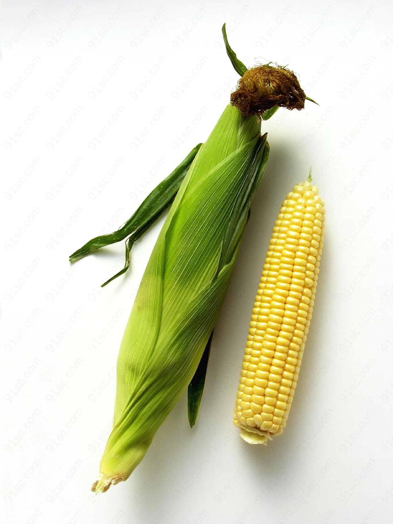 玉米图片下载五谷杂粮