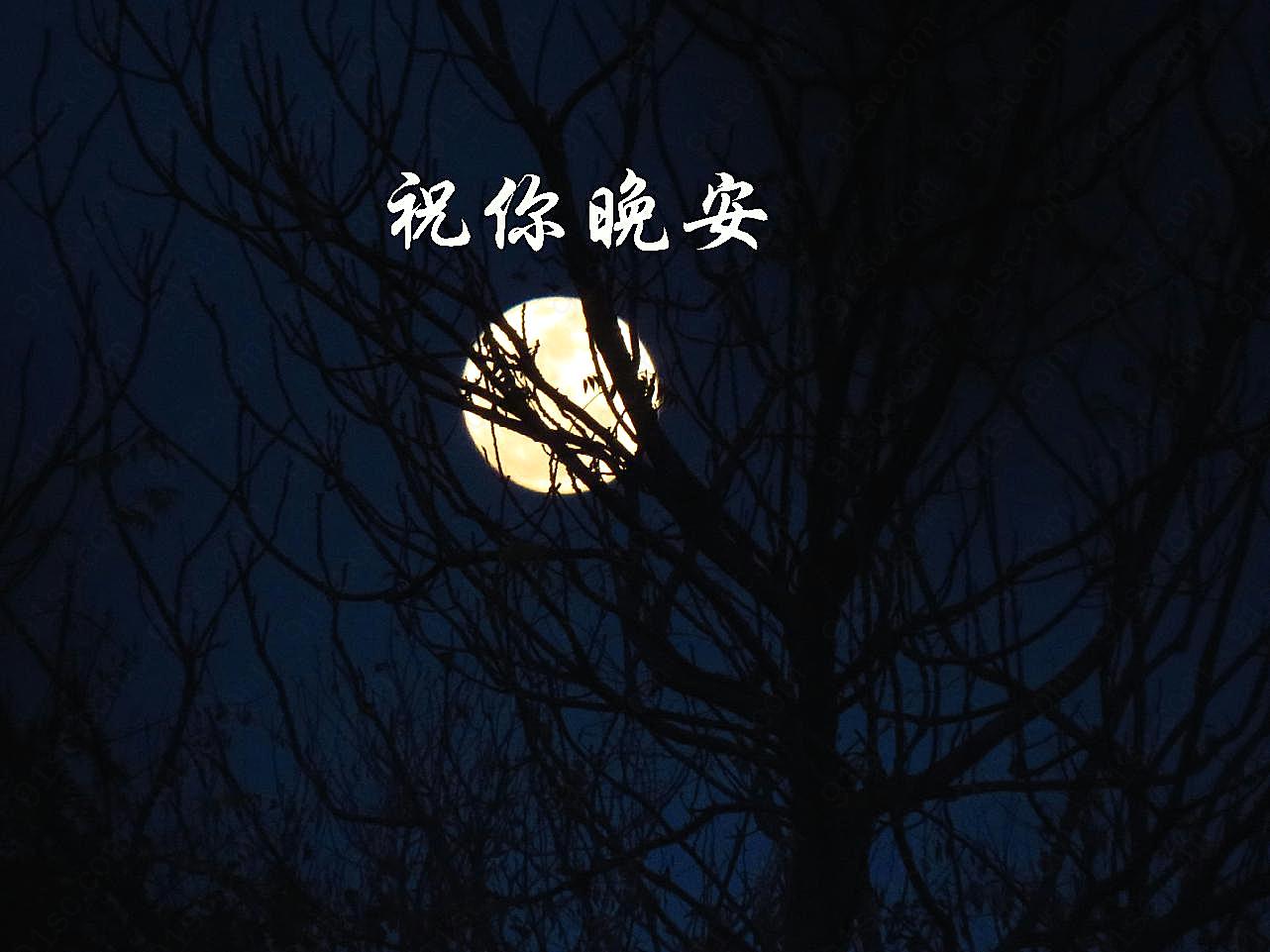 月亮晚安好梦文字图文字图片