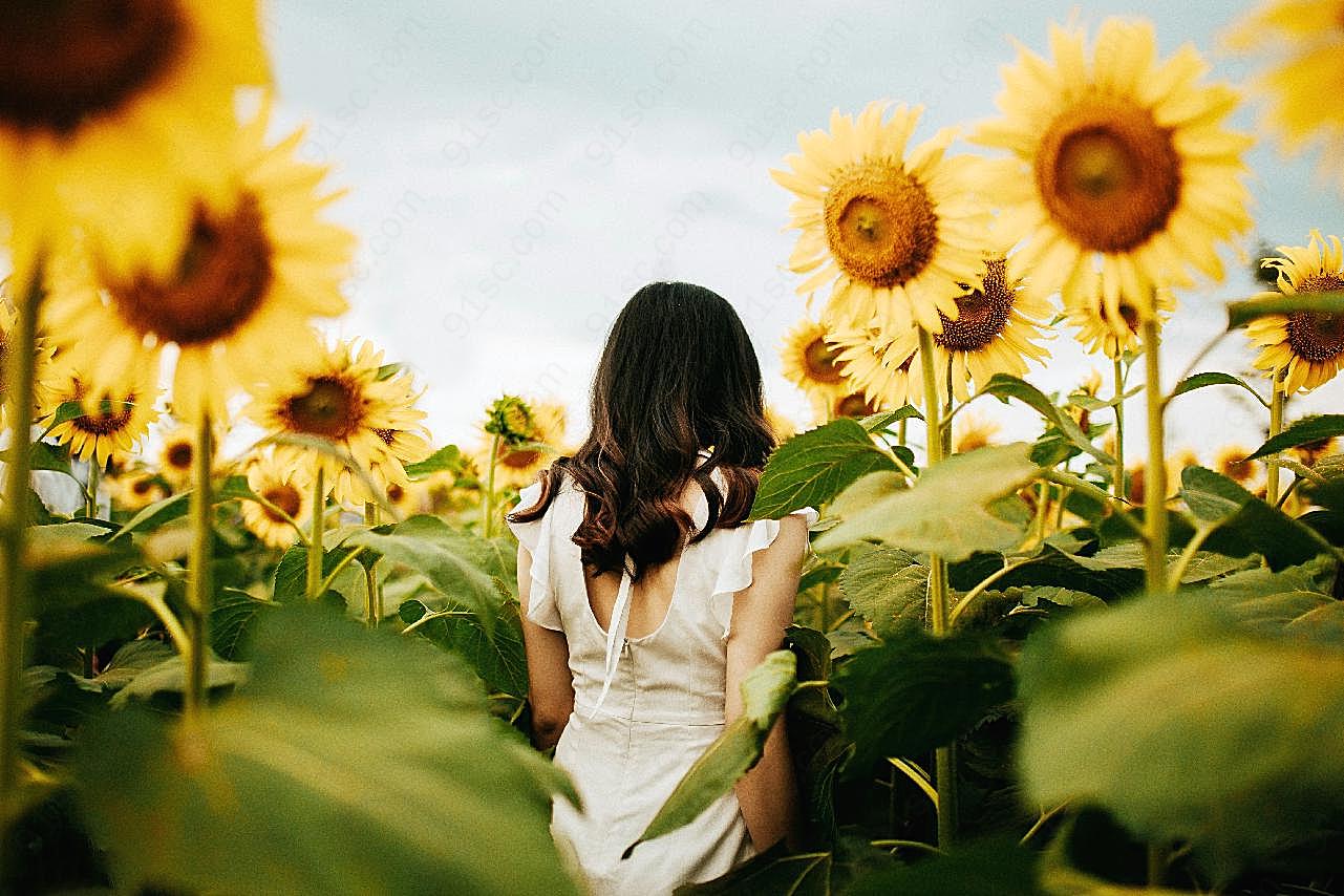 花海写真美女背影图片摄影