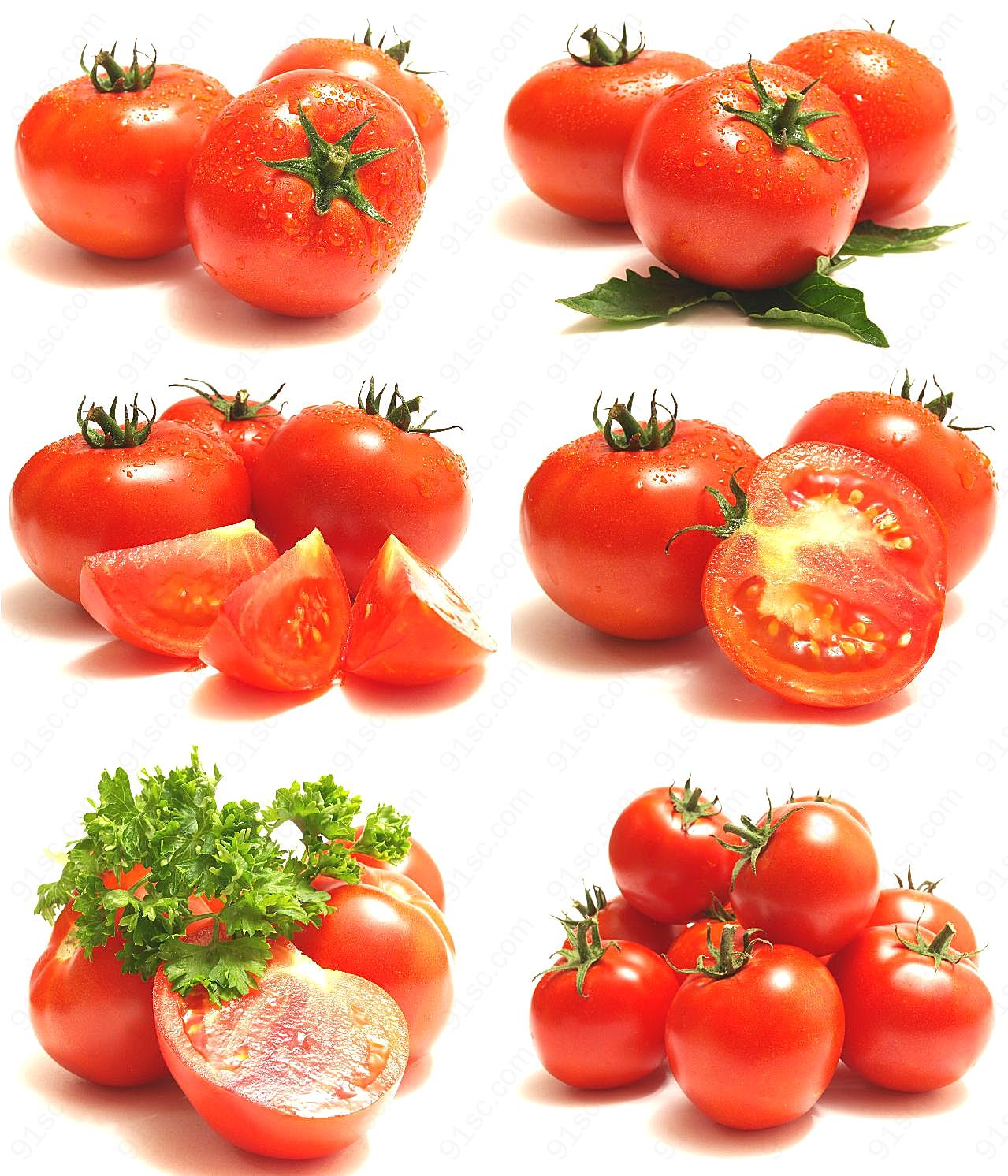高清西红柿图片下载生物