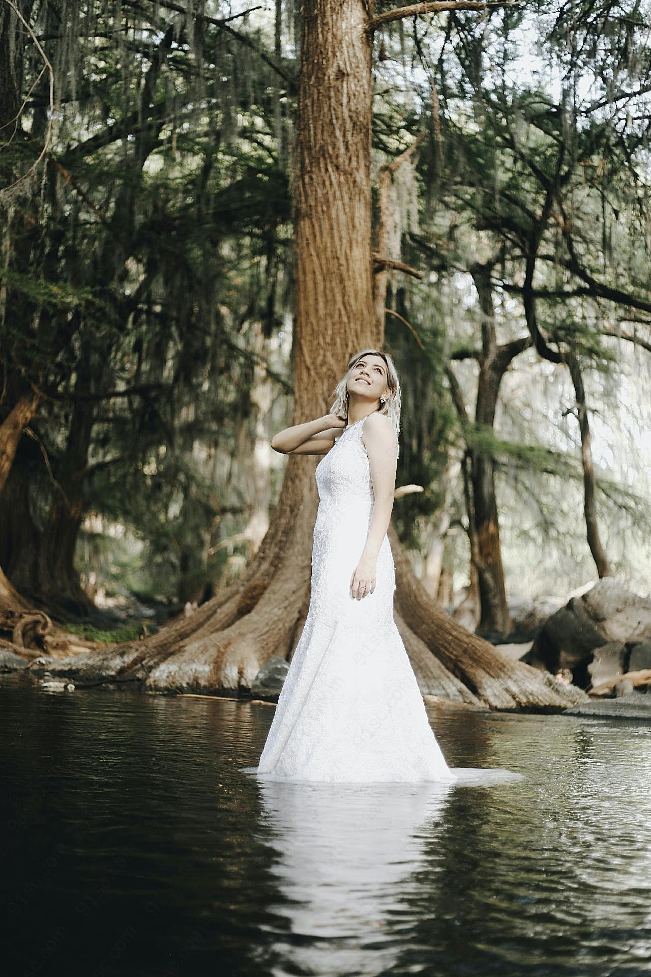 树林婚纱图片美女写真