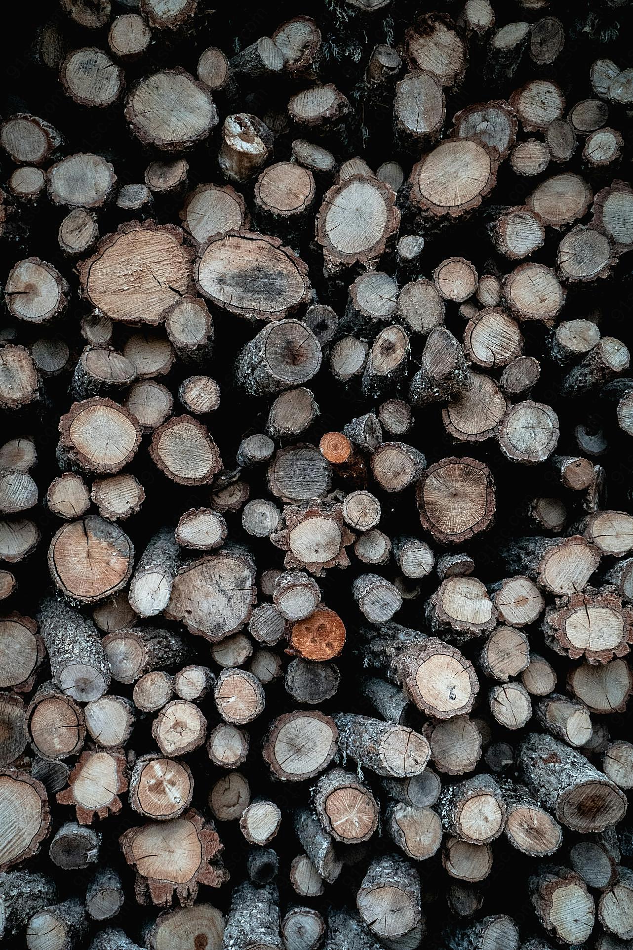 木头堆起来的样子图片树林