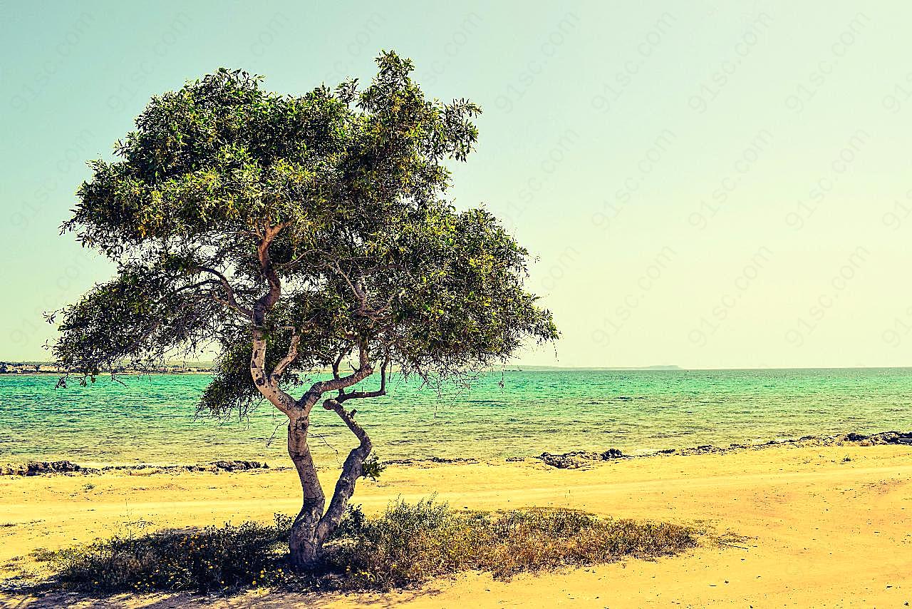 塞浦路斯海边唯美风景大海