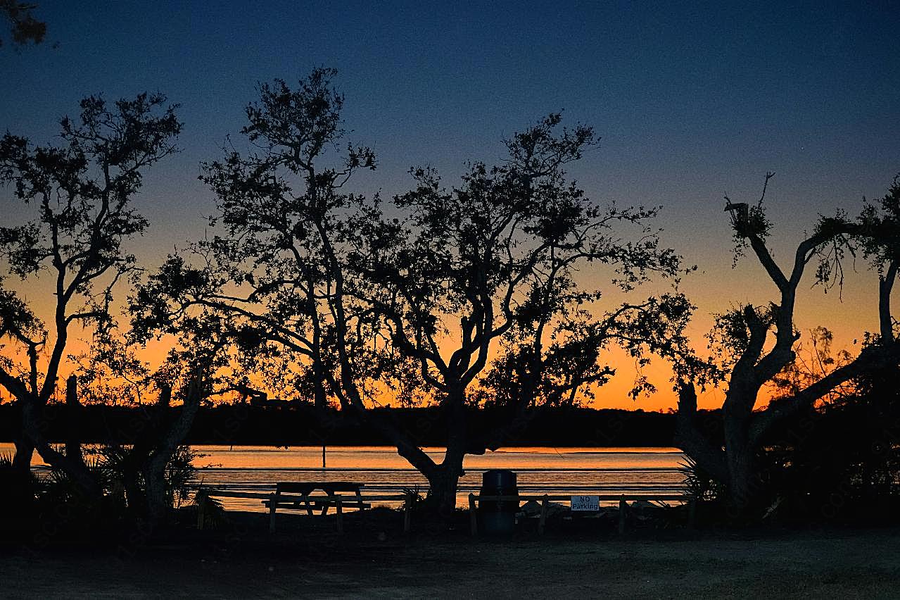 河边树木剪影图片黄昏