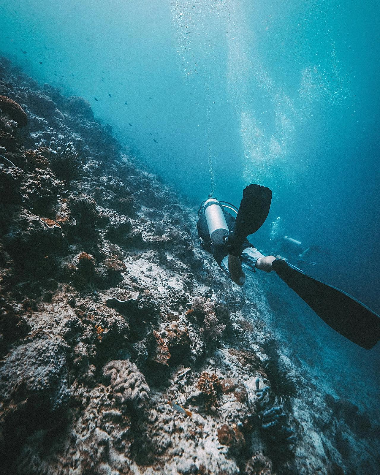 海底体验潜水图片摄影高清