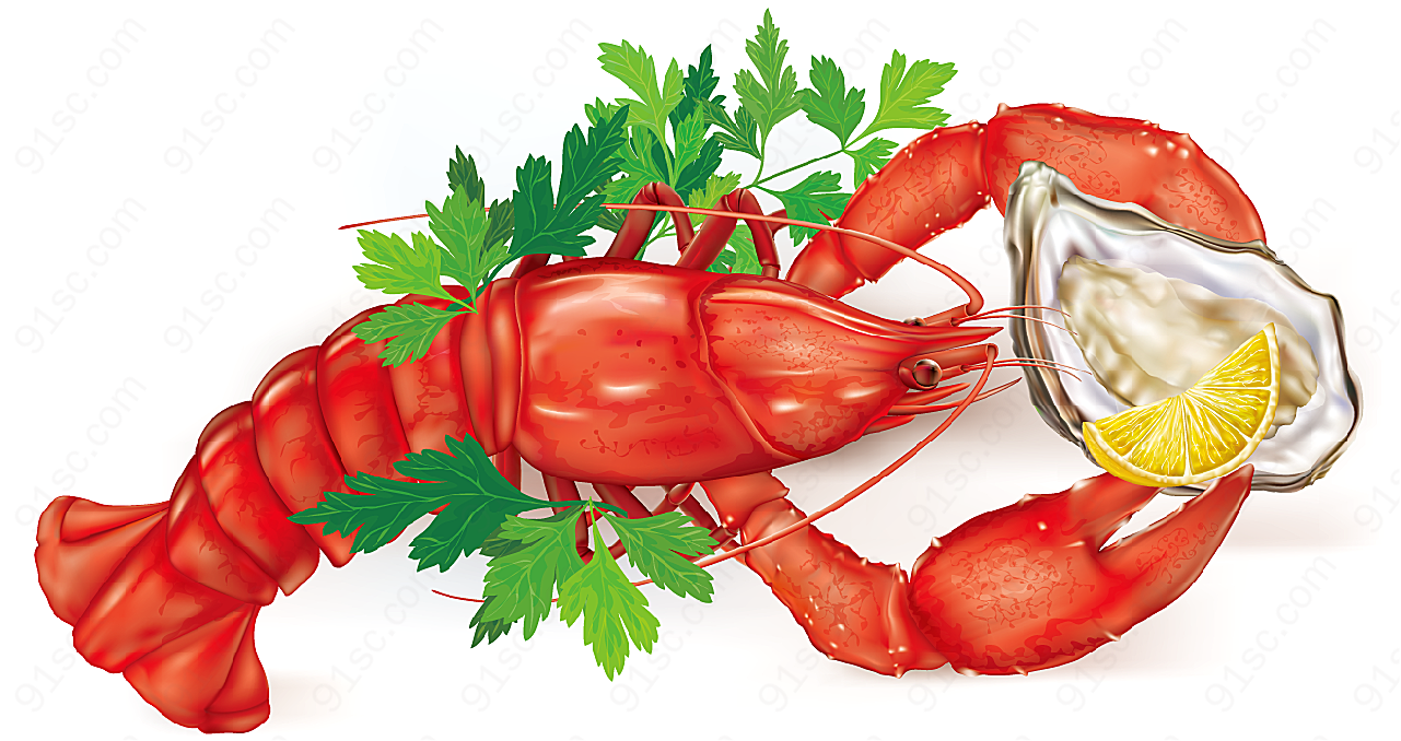龙虾和牡蛎菜肴矢量美食