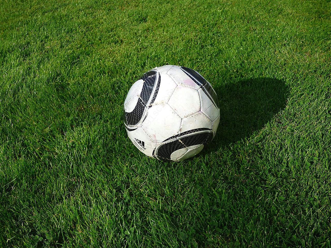 草地上的足球图片高清