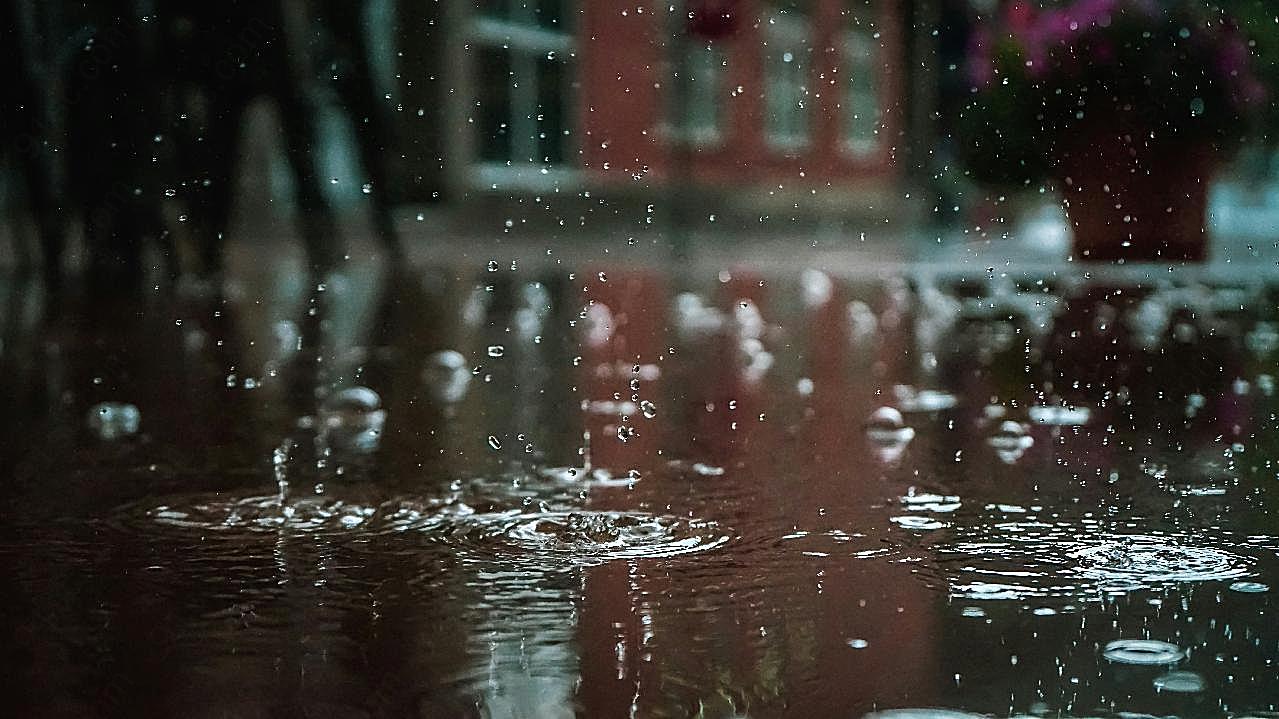 下雨天的雨滴图片风景摄影