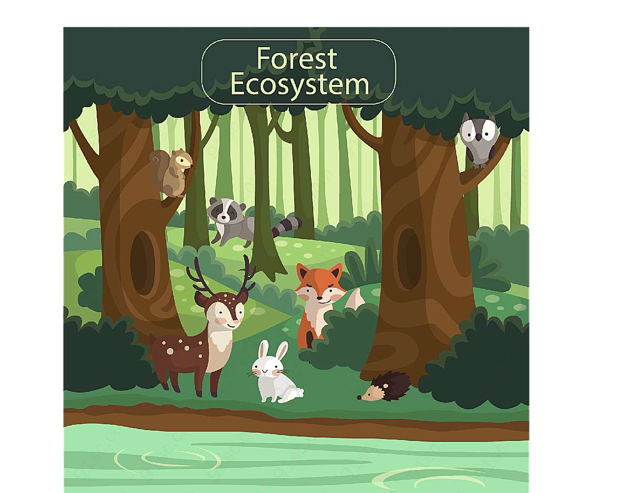 创意森林生态系统矢量野生动物