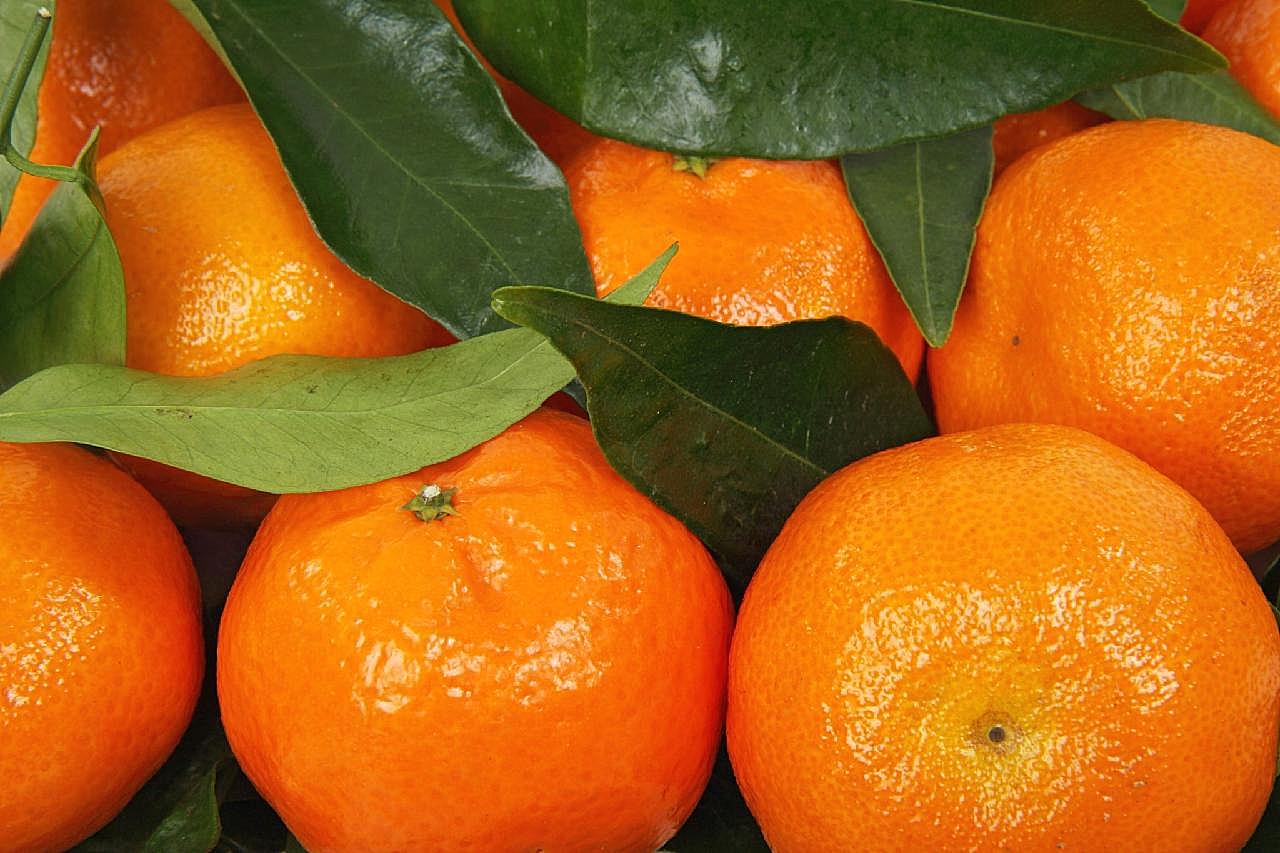 橘子高清特写图片摄影
