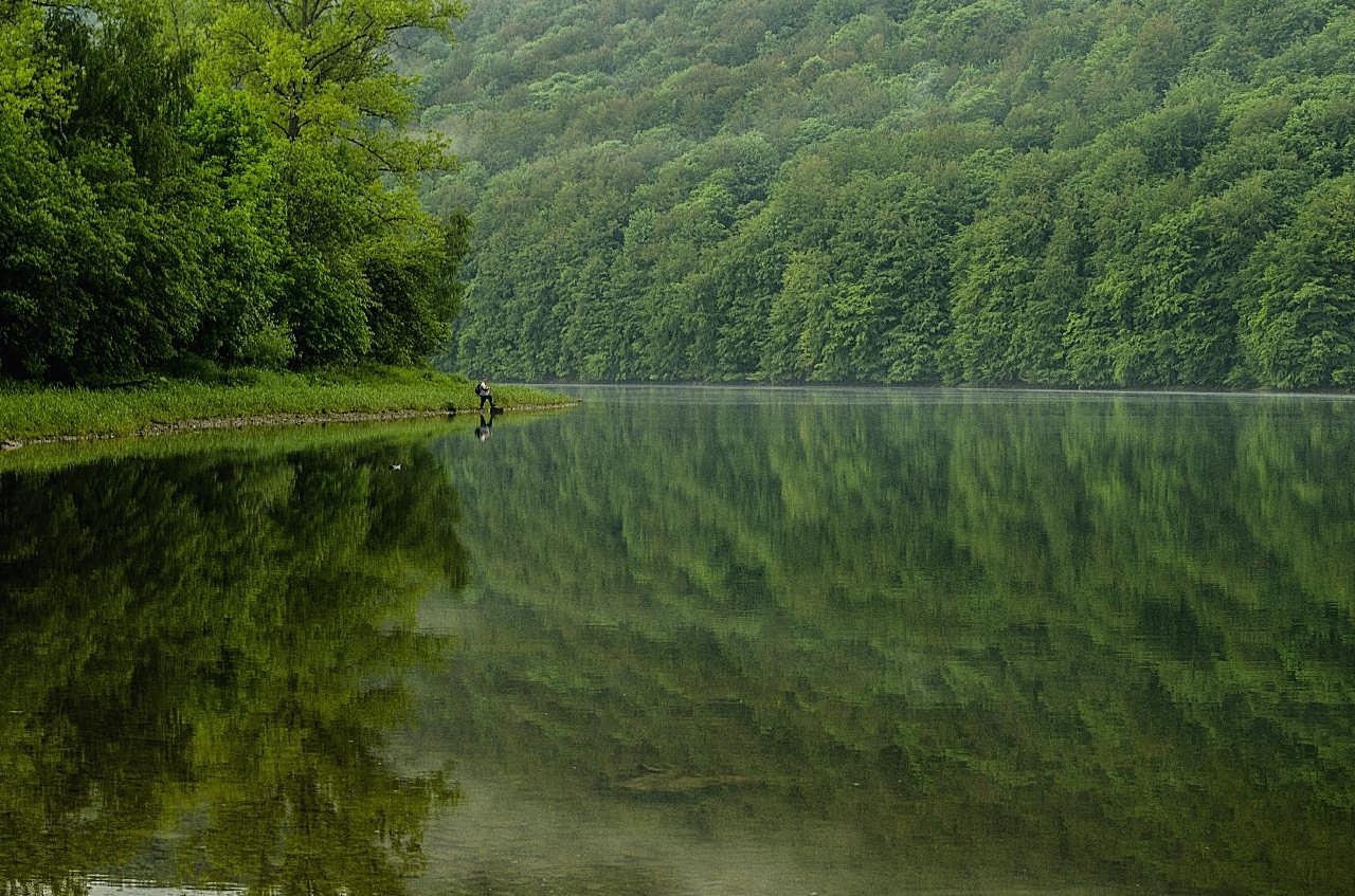 丛林里的湖泊风景图片摄影