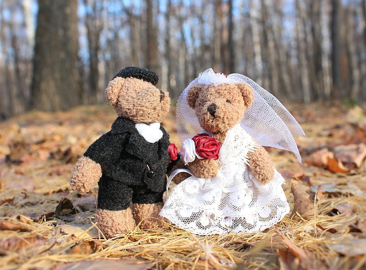 泰迪熊结婚图片高清摄影