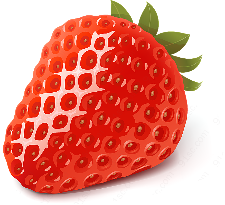 矢量草莓矢量水果