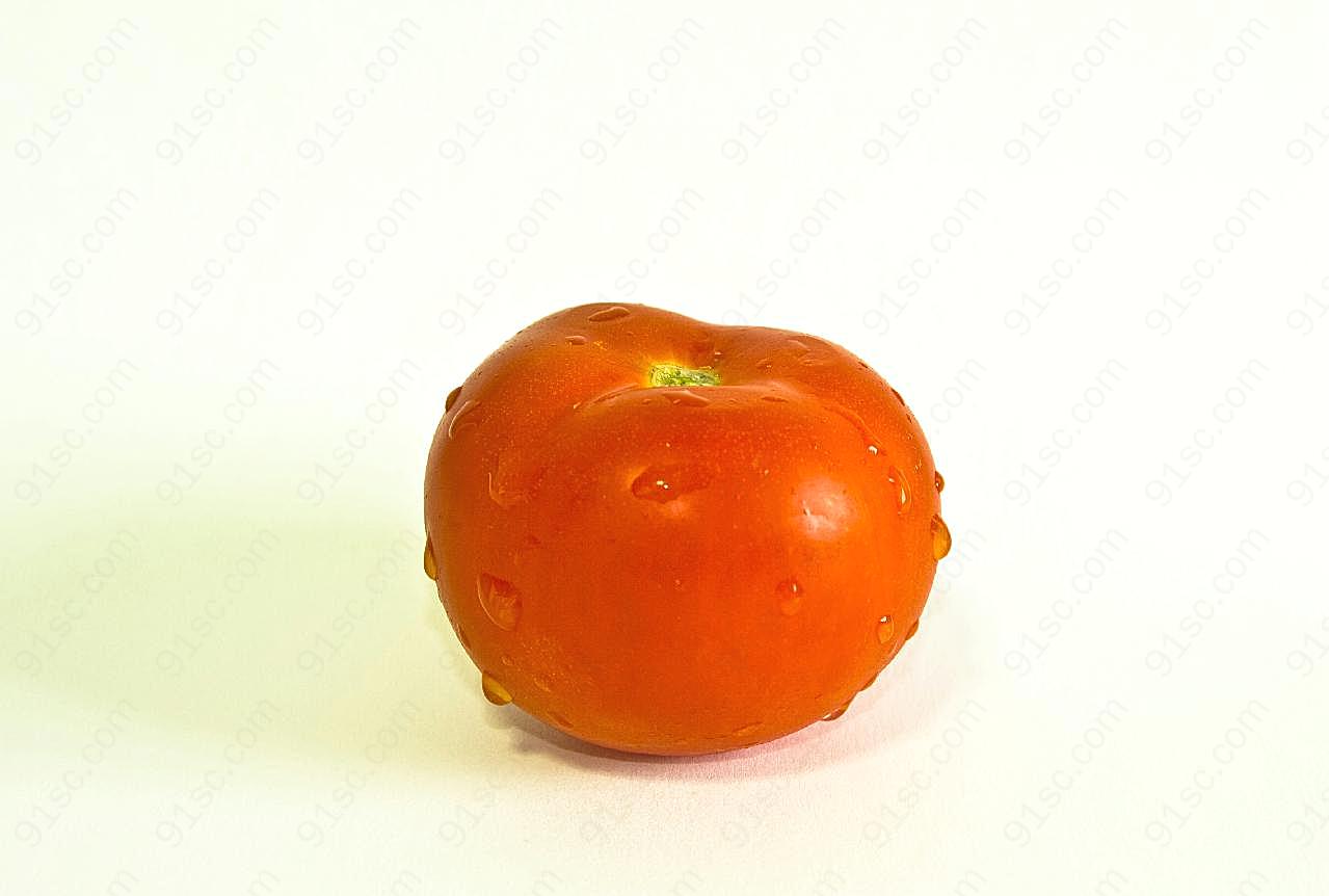 一个西红柿图片生物摄影